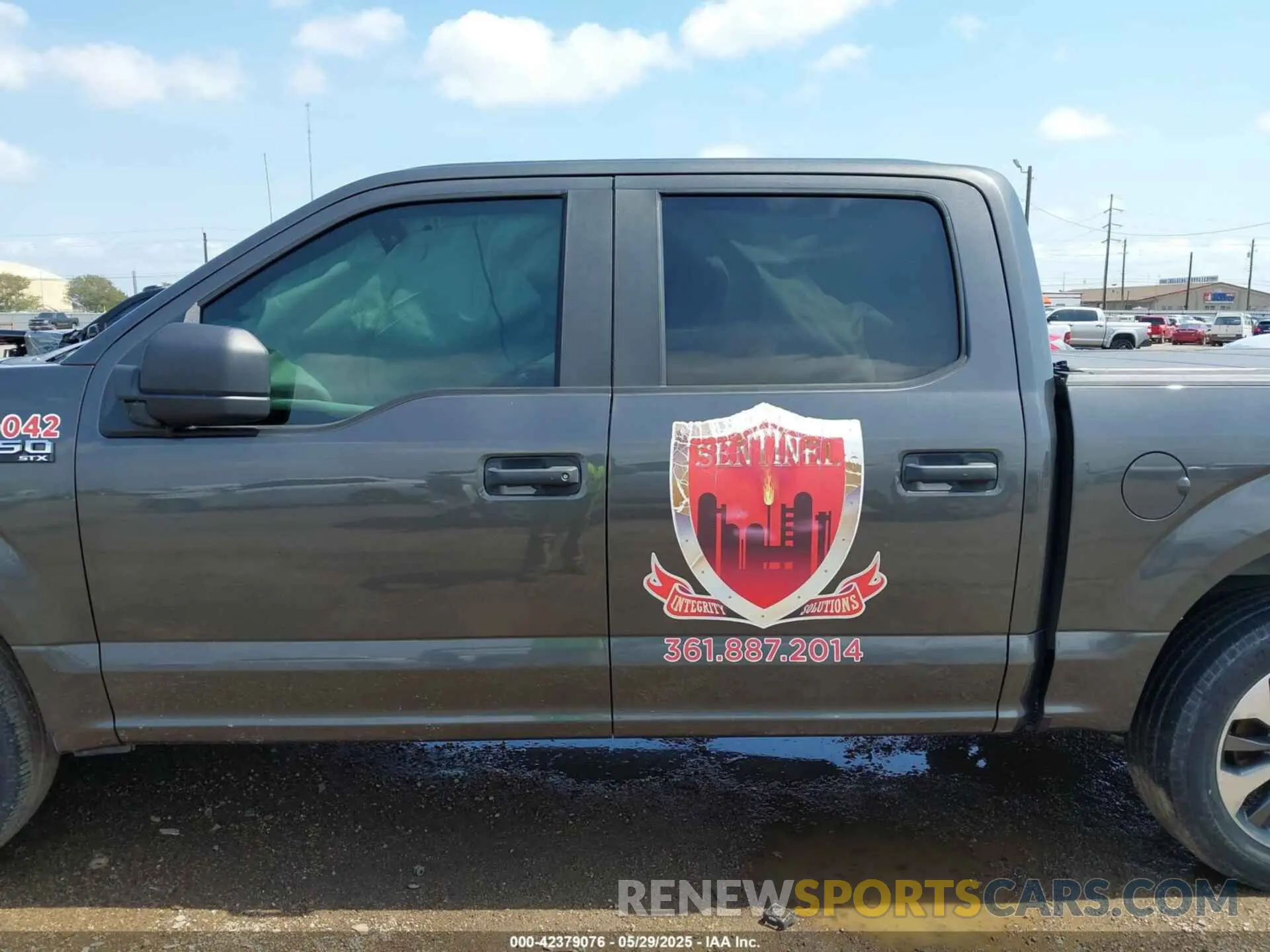 14 fotografías del automóvil dañado 1FTEW1CP2KKE59640 FORD F-150 2019