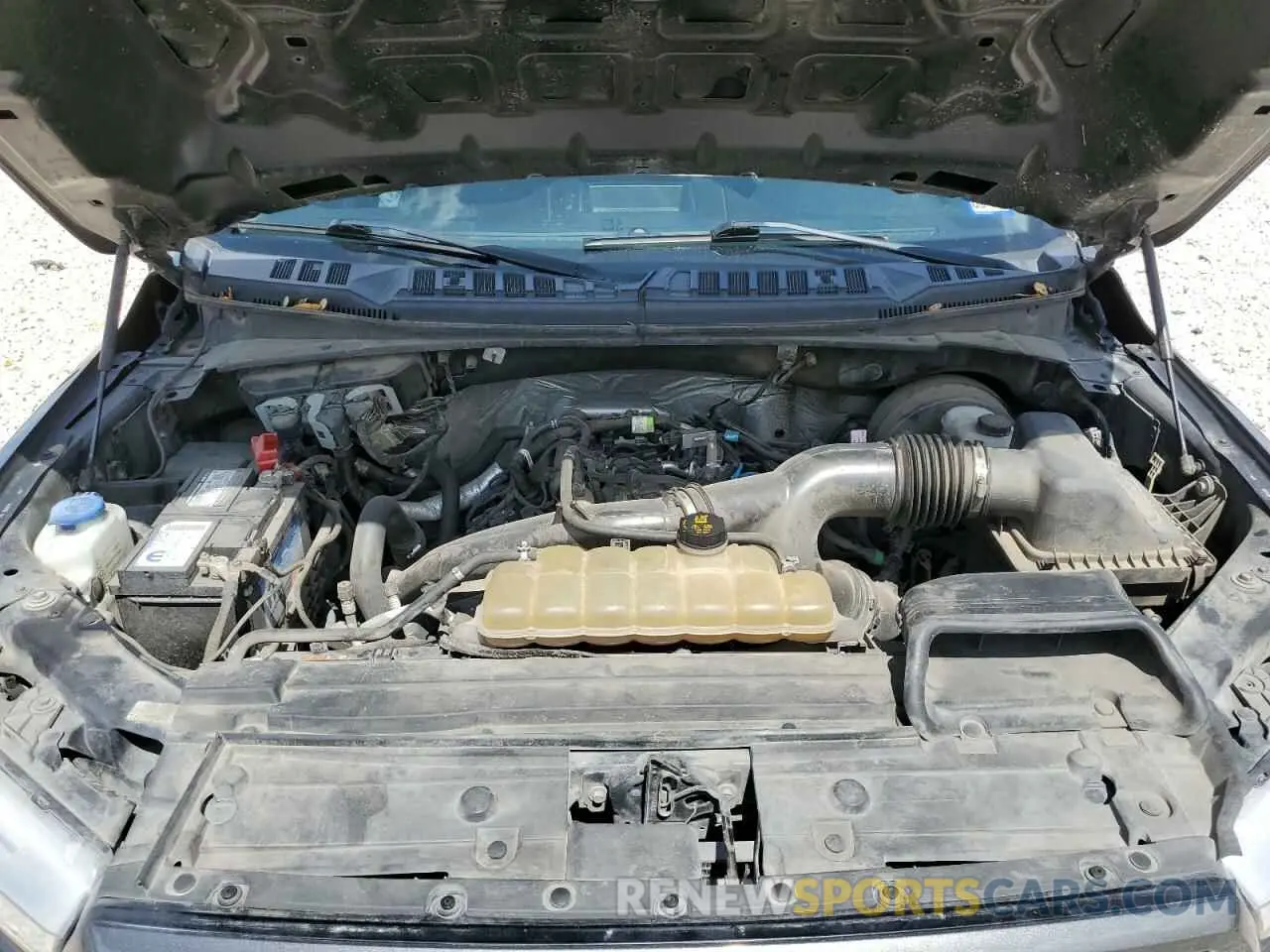 11 fotografías del automóvil dañado 1FTEW1CP3KKD25879 FORD F-150 2019