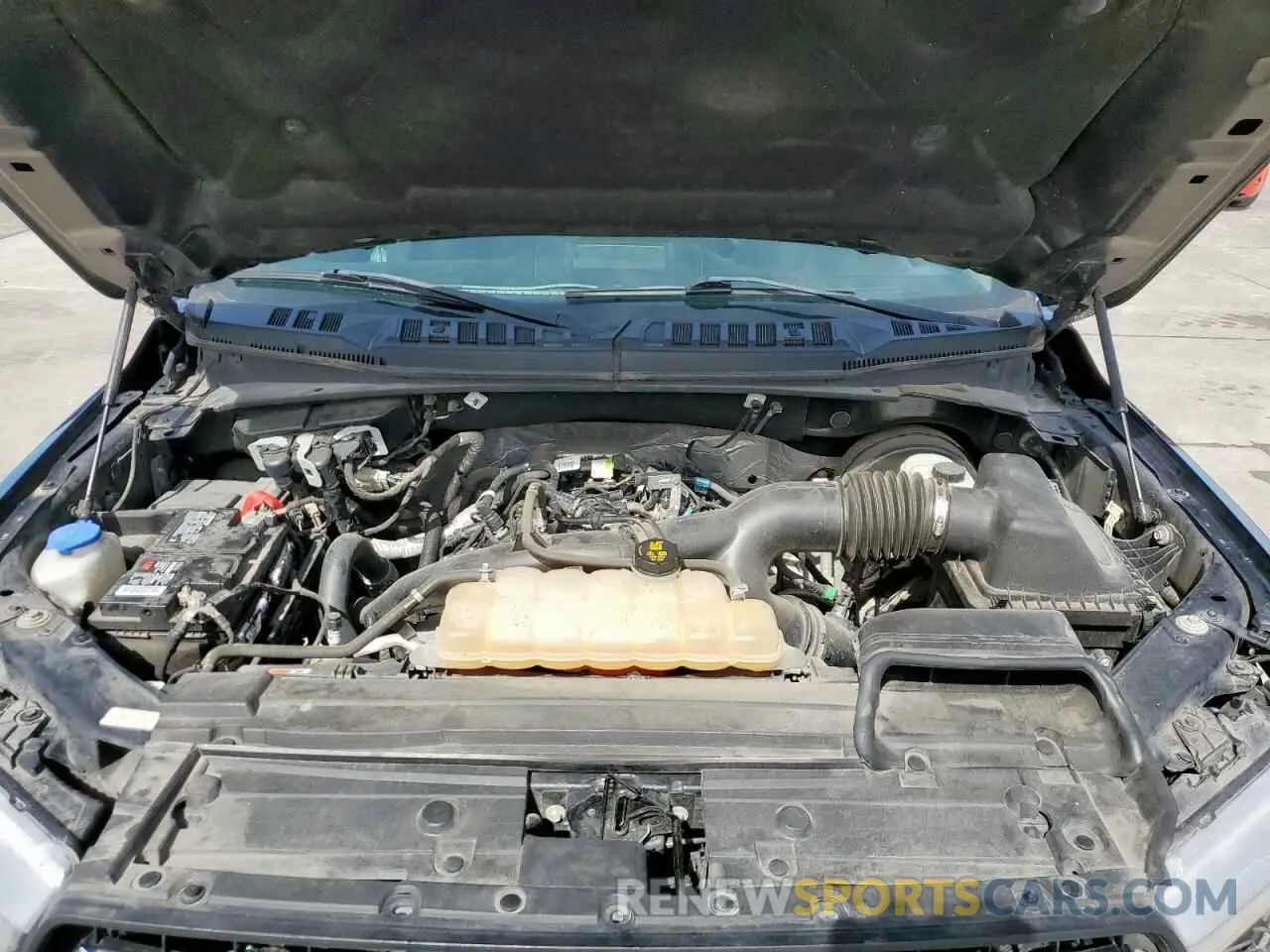 11 fotografías del automóvil dañado 1FTEW1CP6KKC53608 FORD F-150 2019