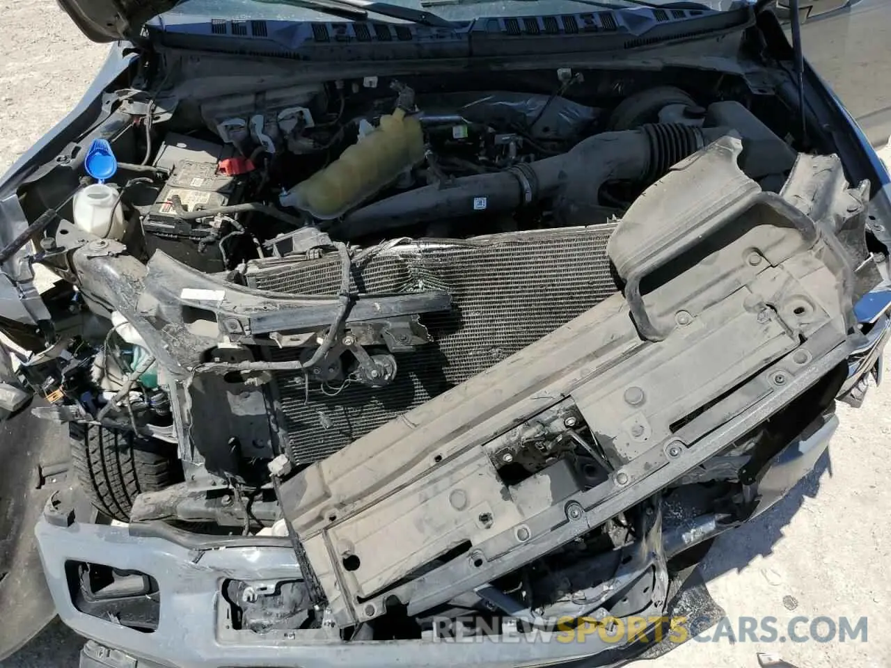 11 fotografías del automóvil dañado 1FTEW1CP6KKD12348 FORD F-150 2019
