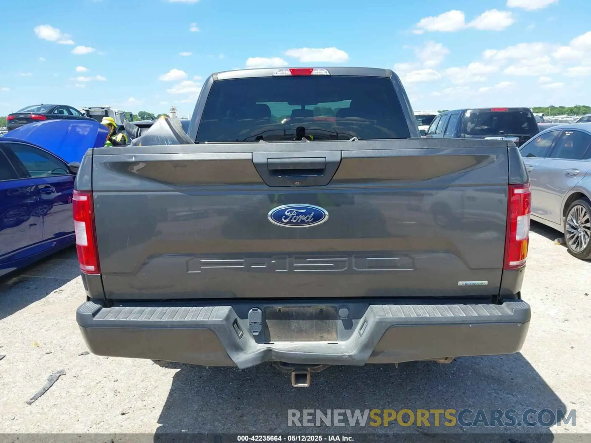16 fotografías del automóvil dañado 1FTEW1CP7KKE04696 FORD F-150 2019