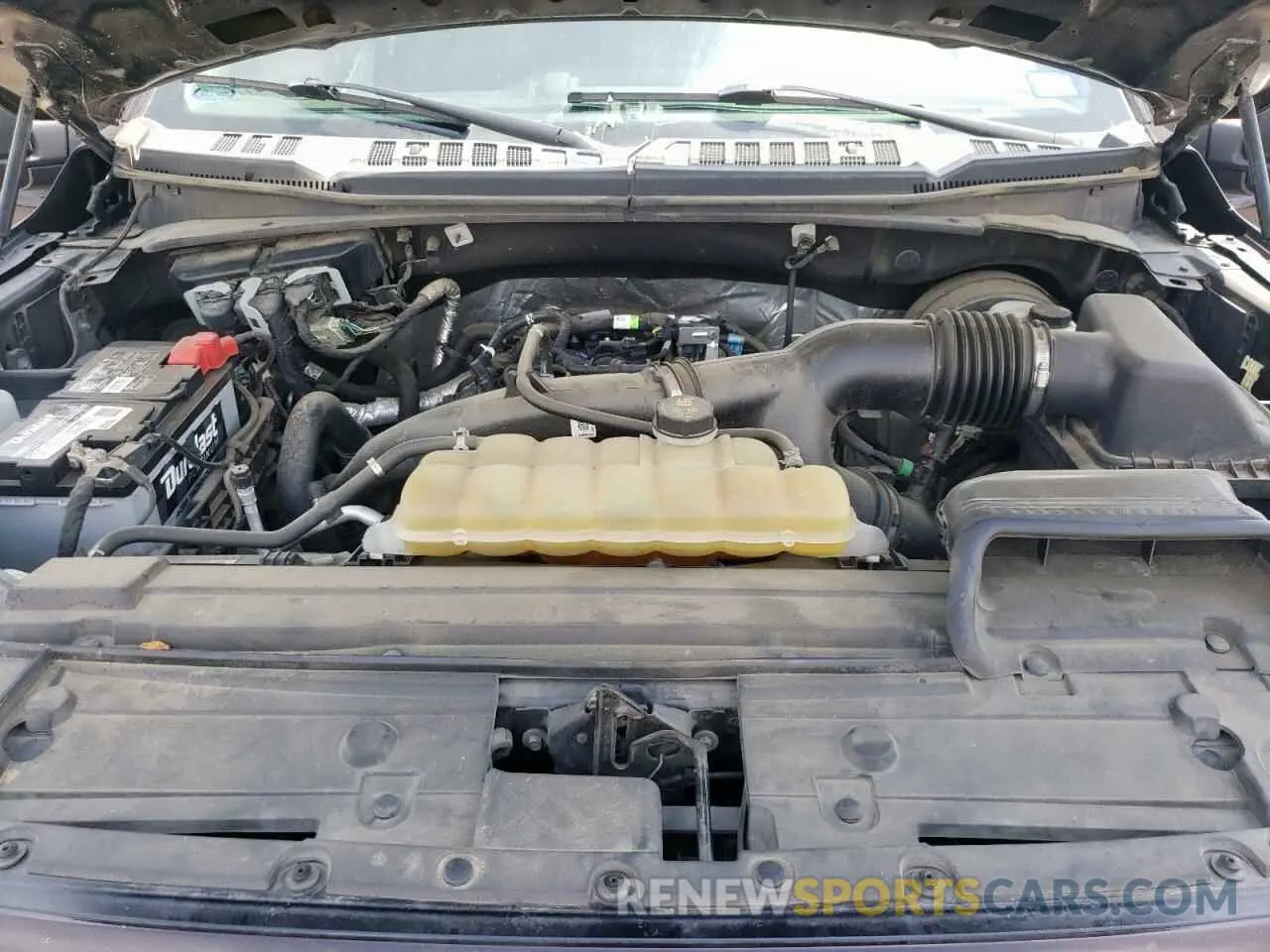 12 fotografías del automóvil dañado 1FTEW1CP8KKC84620 FORD F-150 2019