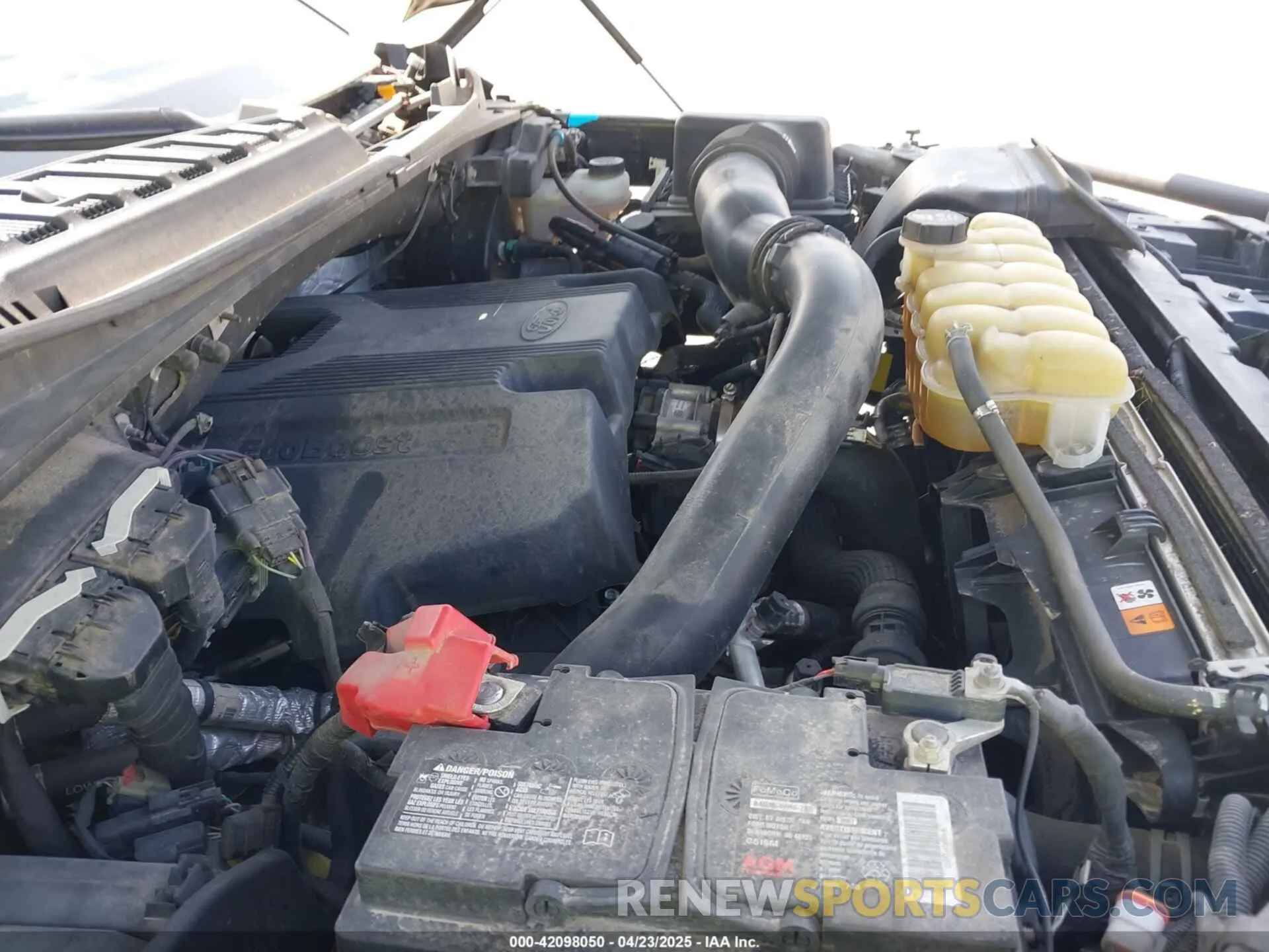 10 fotografías del automóvil dañado 1FTEW1E40KKE24565 FORD F-150 2019