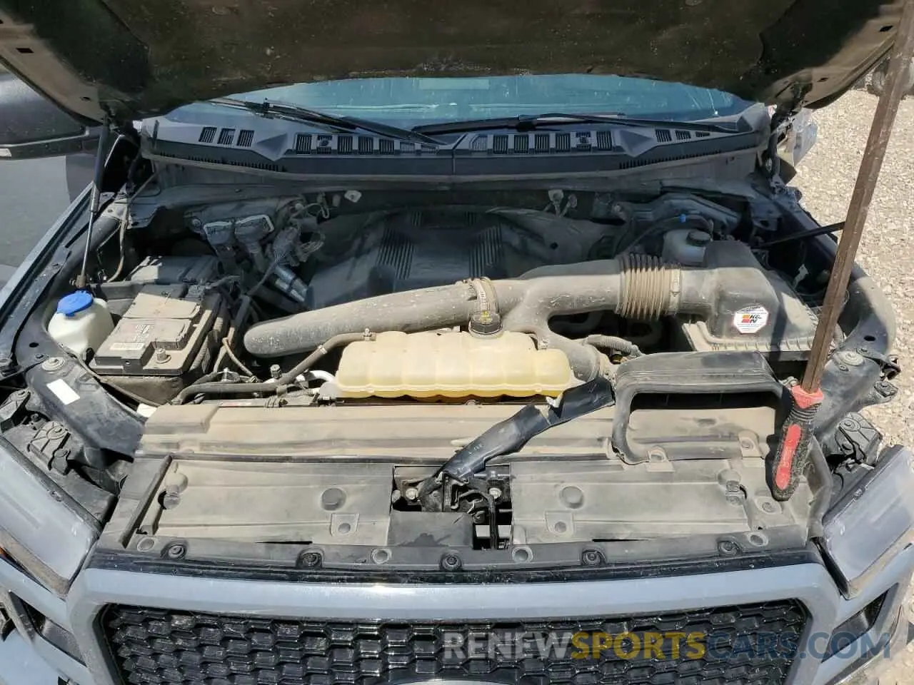 11 fotografías del automóvil dañado 1FTEW1E41KFA80804 FORD F-150 2019