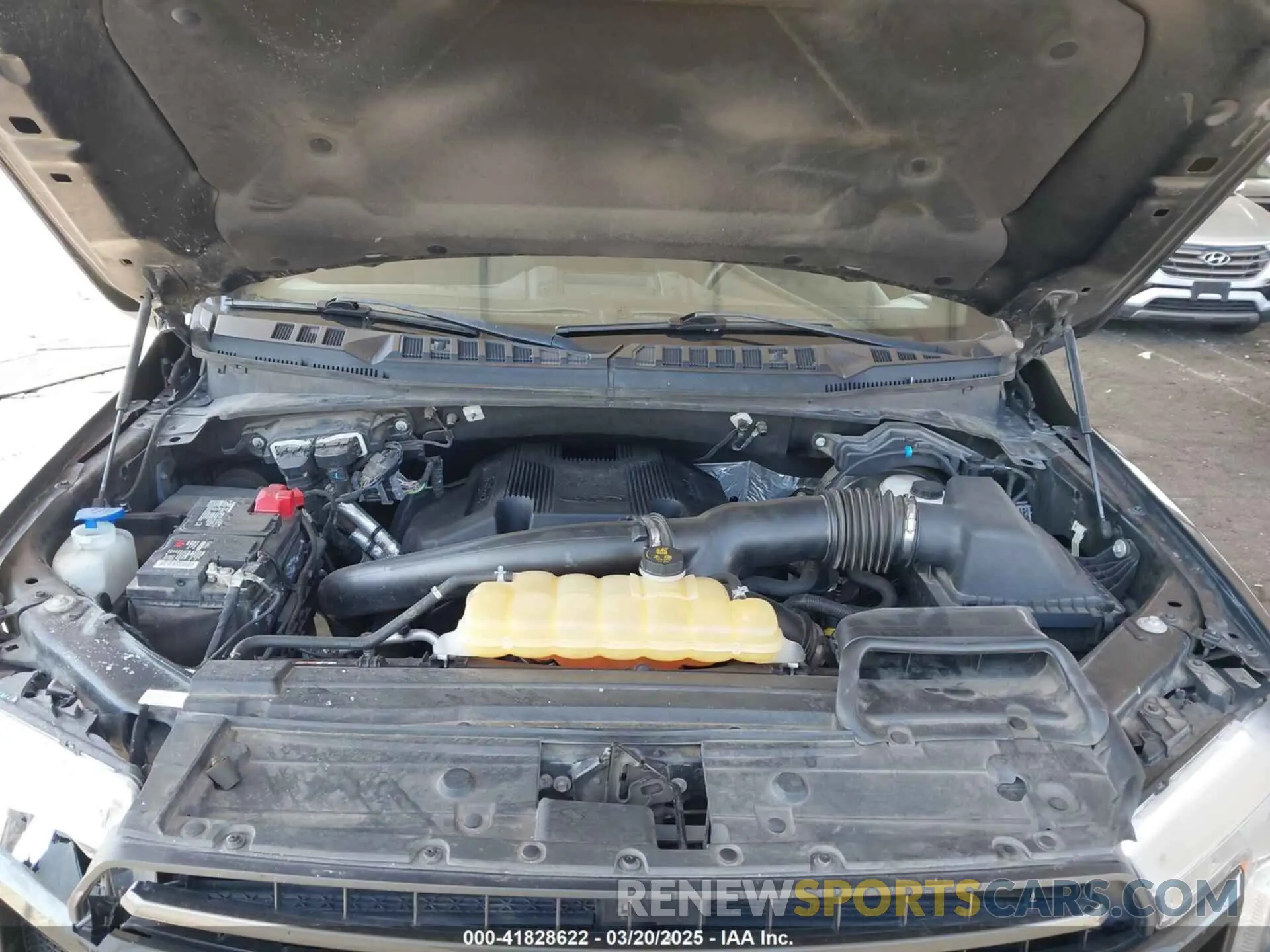 10 fotografías del automóvil dañado 1FTEW1E41KKC35889 FORD F-150 2019