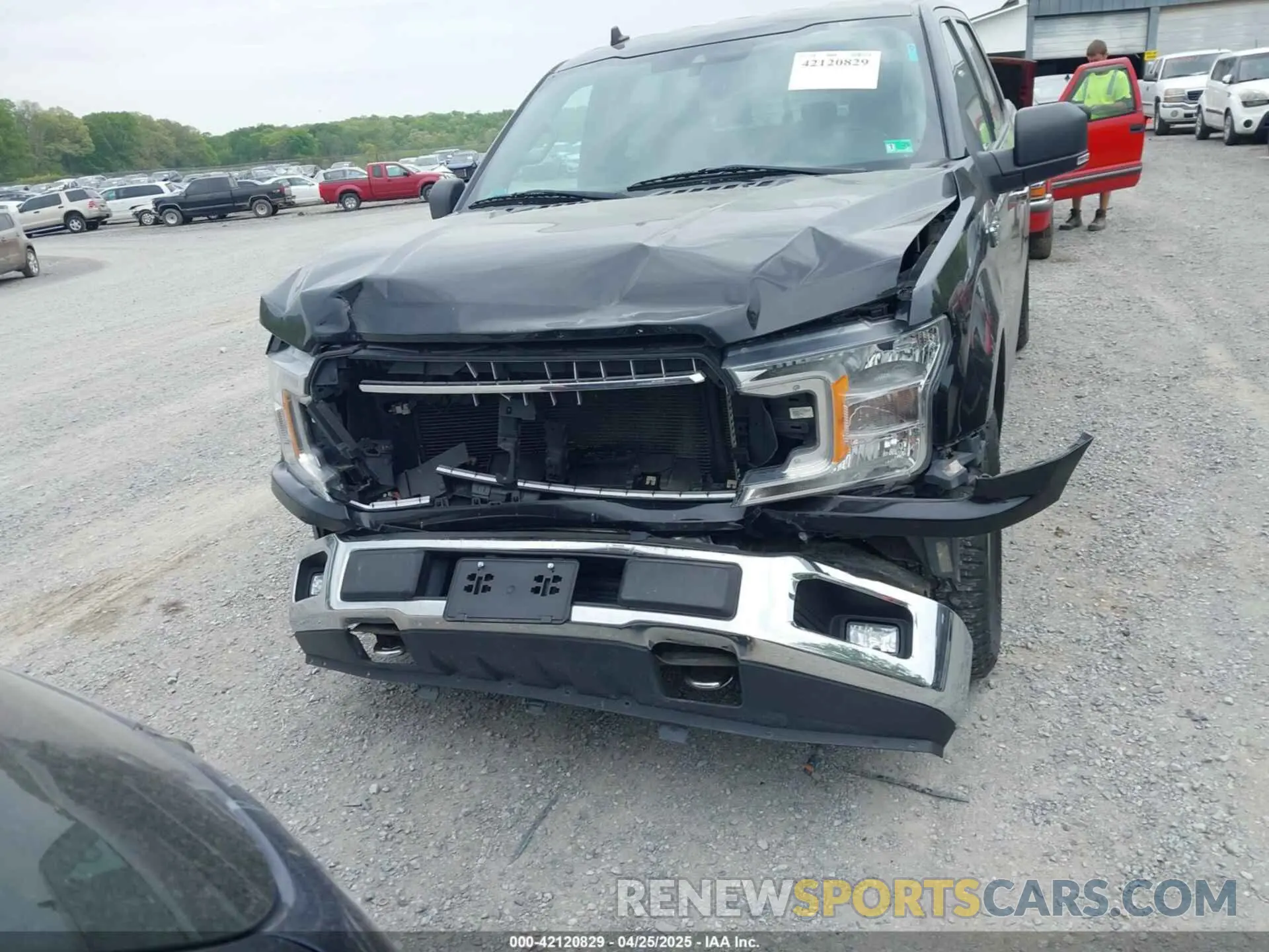12 fotografías del automóvil dañado 1FTEW1E42KFA27027 FORD F-150 2019
