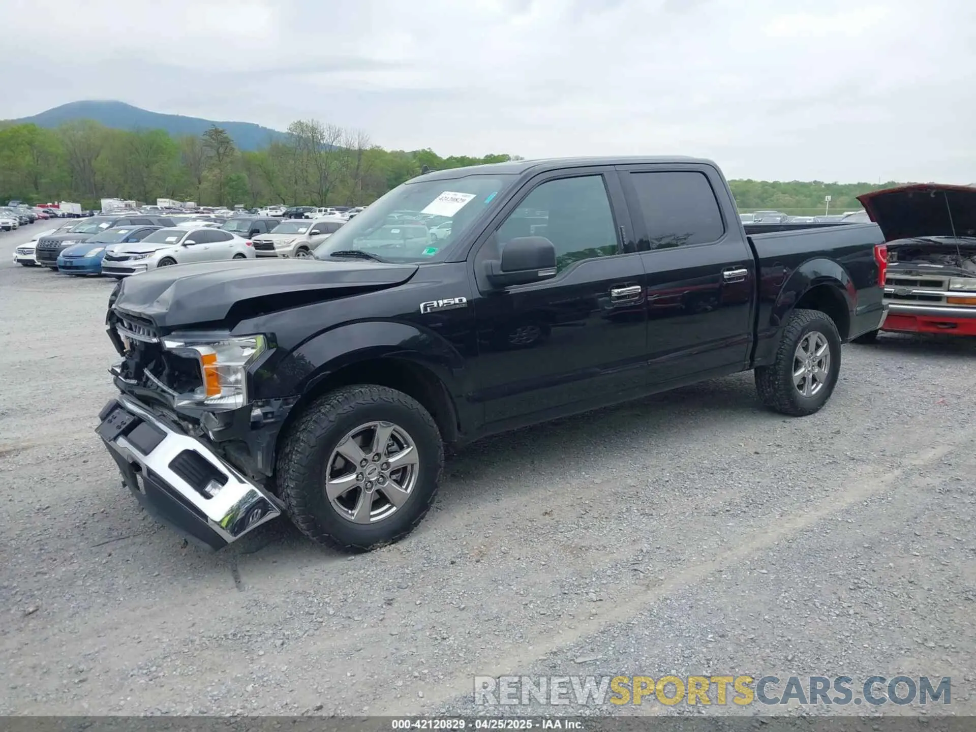 2 fotografías del automóvil dañado 1FTEW1E42KFA27027 FORD F-150 2019