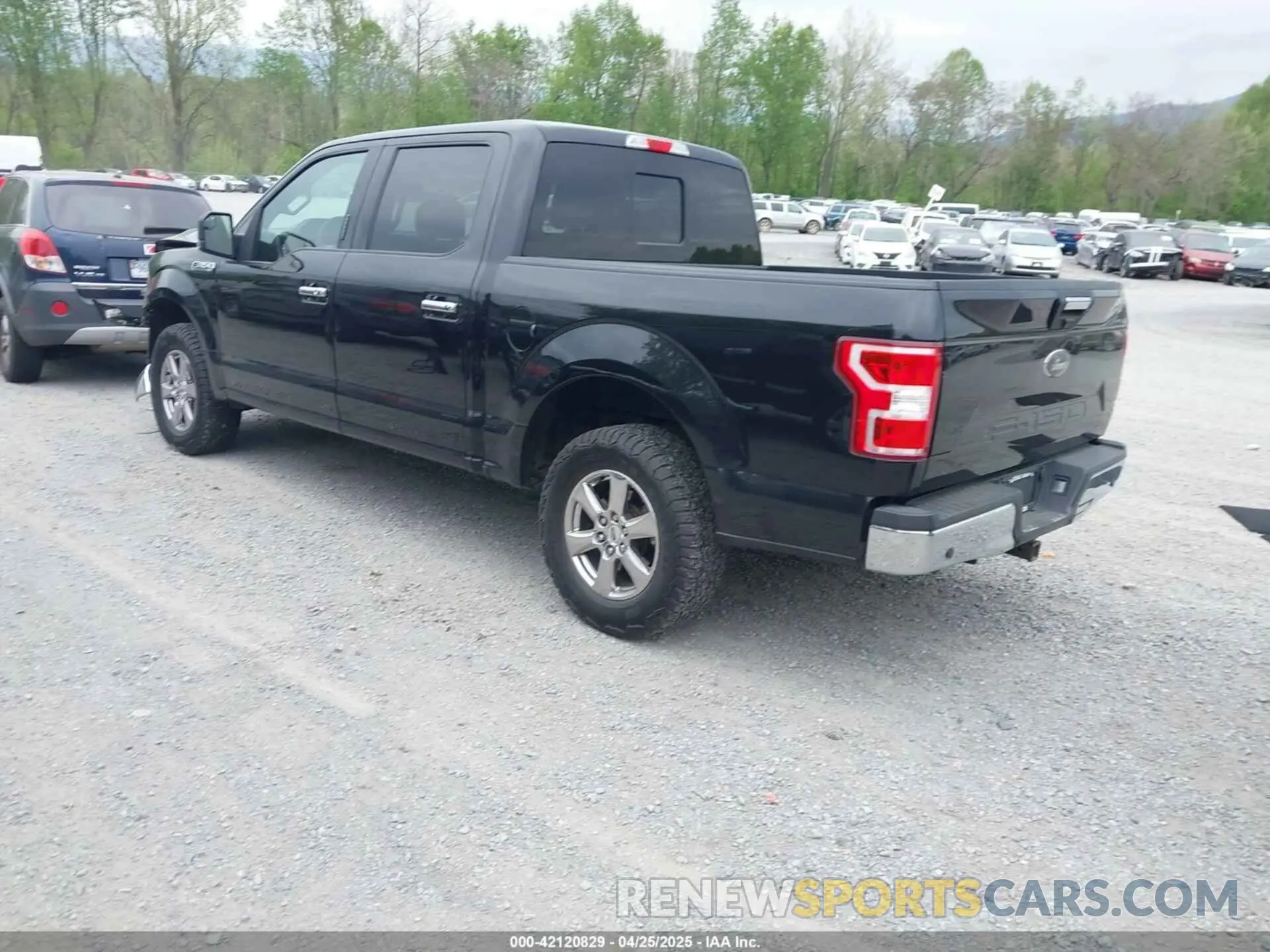 3 fotografías del automóvil dañado 1FTEW1E42KFA27027 FORD F-150 2019