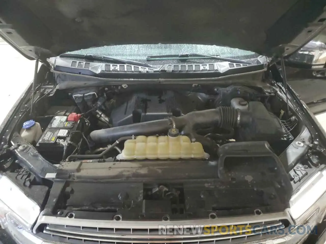 11 fotografías del automóvil dañado 1FTEW1E44KKE60842 FORD F-150 2019