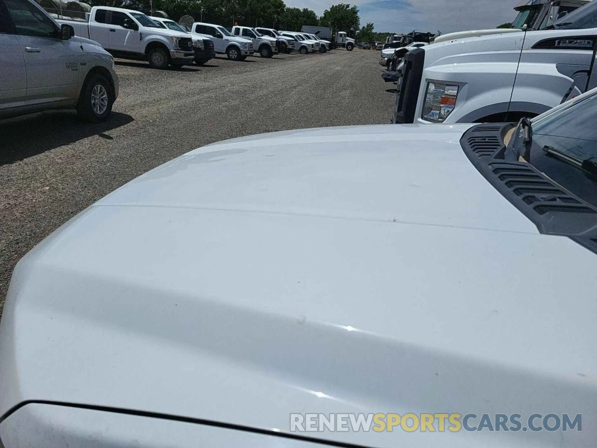 21 fotografías del automóvil dañado 1FTEW1E51KKD51103 FORD F-150 2019