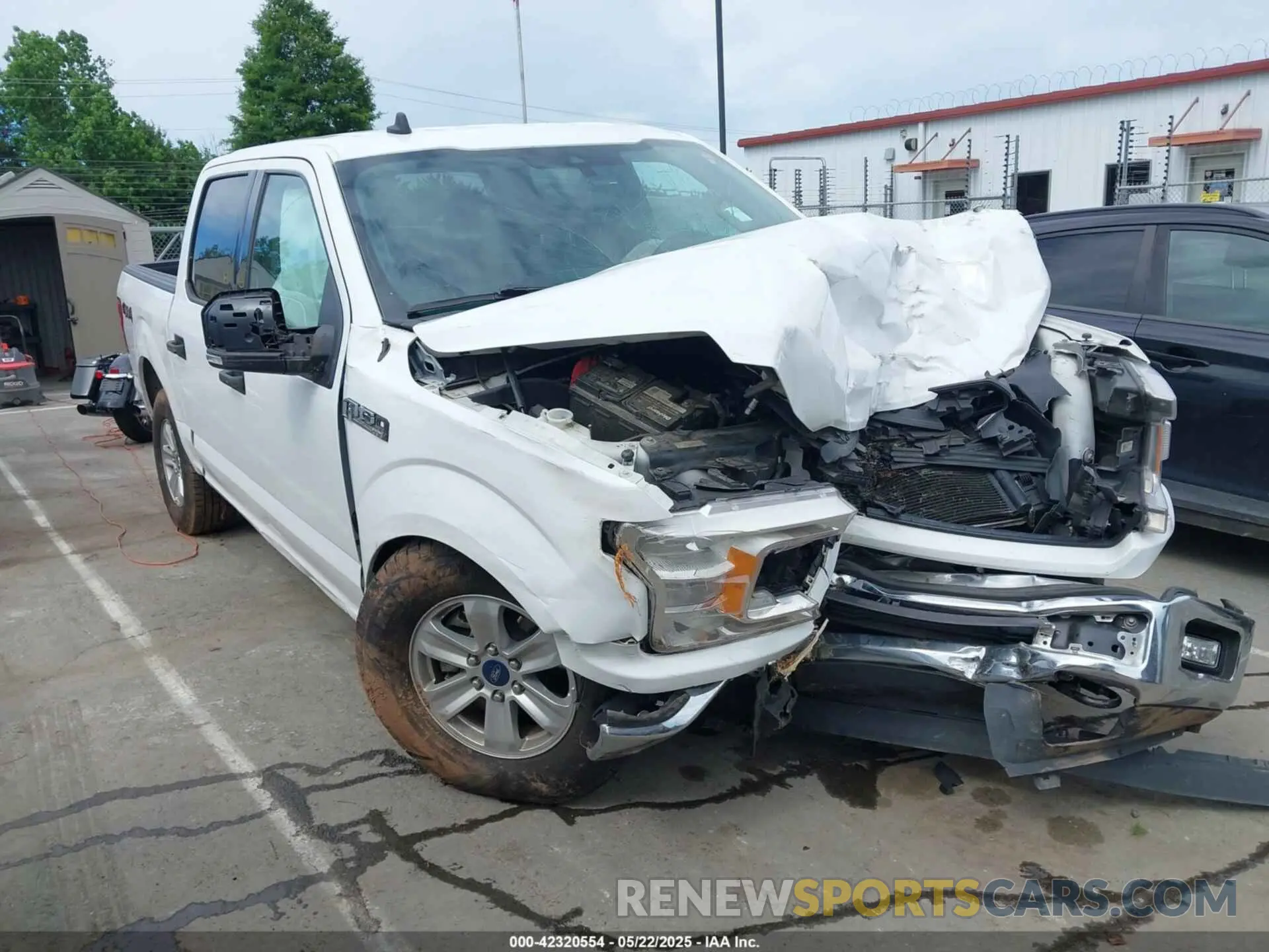13 fotografías del automóvil dañado 1FTEW1E53KFD17091 FORD F-150 2019