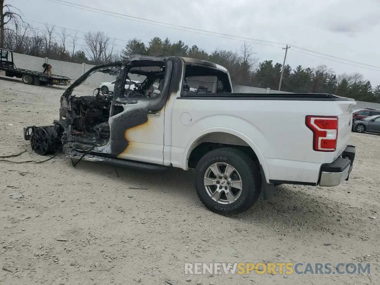 2 fotografías del automóvil dañado 1FTEW1E54KKD74827 FORD F-150 2019