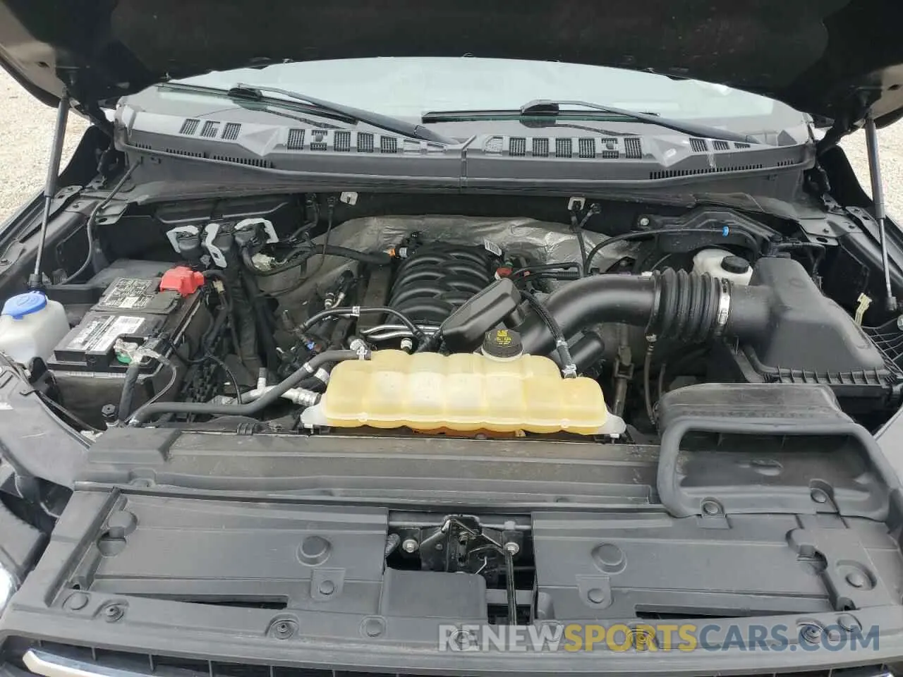 12 fotografías del automóvil dañado 1FTEW1E55KFB20343 FORD F-150 2019
