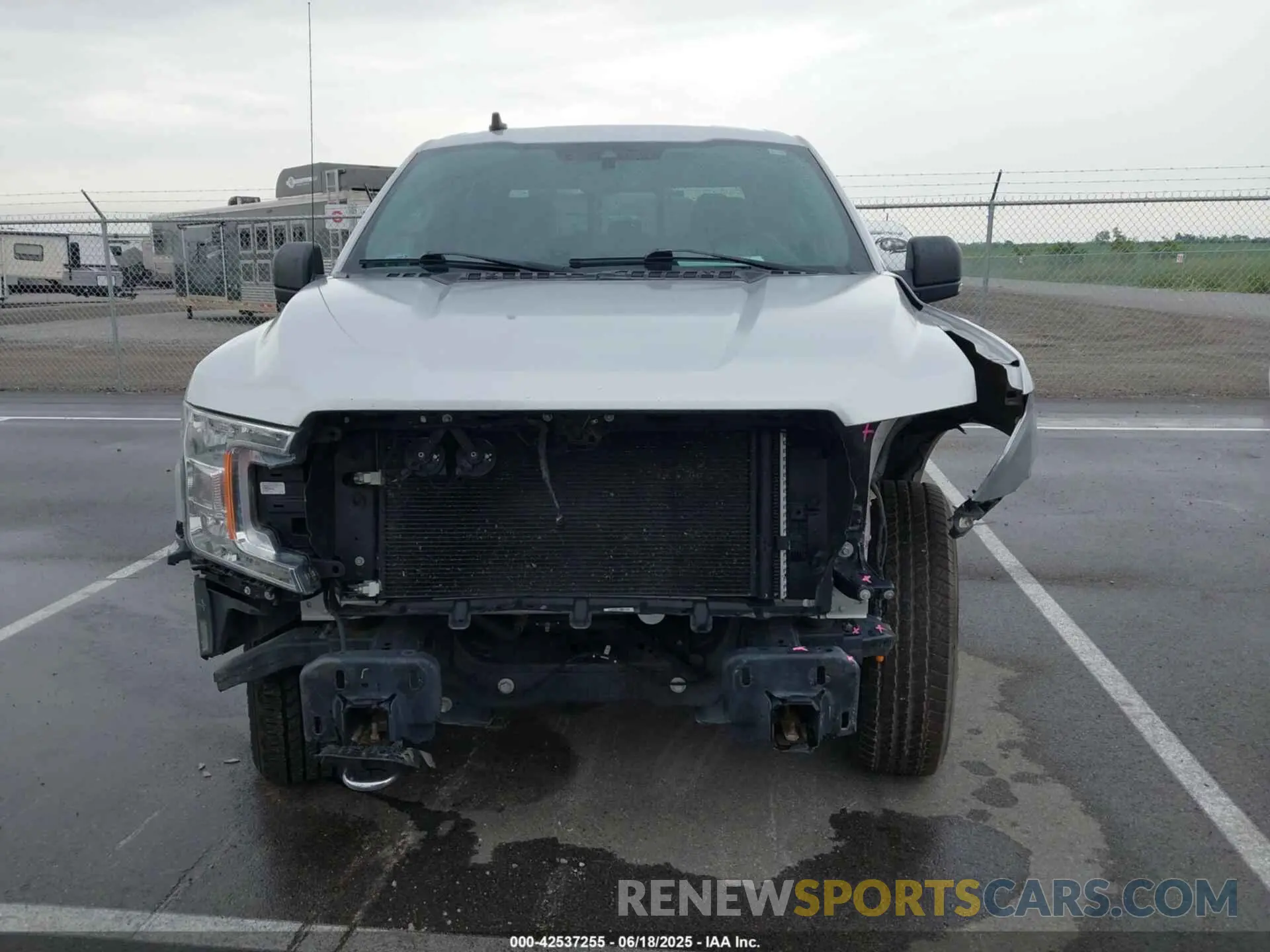 12 fotografías del automóvil dañado 1FTEW1E55KKE36039 FORD F-150 2019
