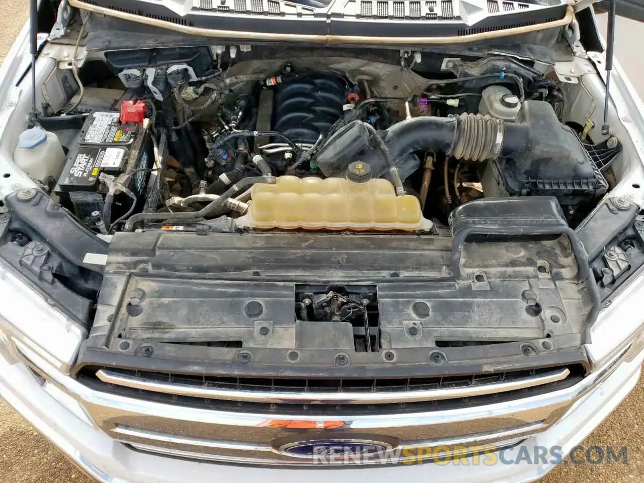 11 fotografías del automóvil dañado 1FTEW1E57KKC88167 FORD F-150 2019