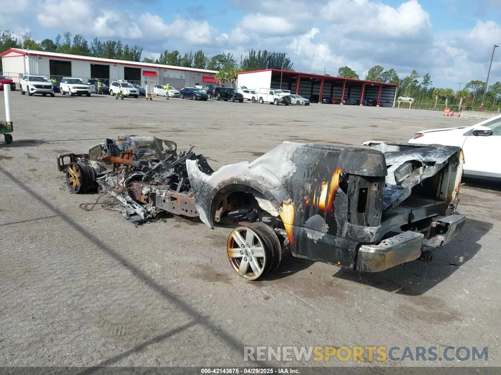 3 fotografías del automóvil dañado 1FTEW1E58KFB64062 FORD F-150 2019