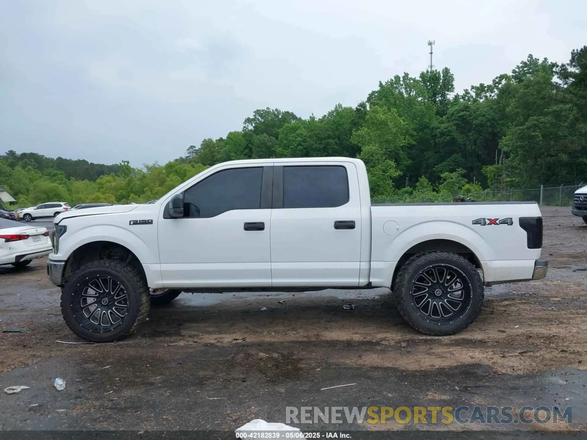 14 fotografías del automóvil dañado 1FTEW1EB2KKD98999 FORD F-150 2019