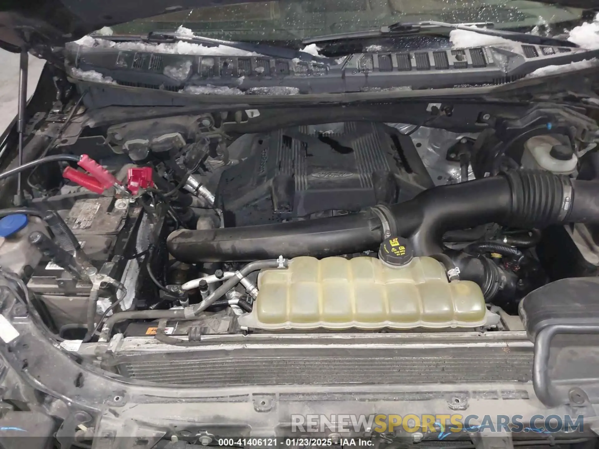 10 fotografías del automóvil dañado 1FTEW1EG2KFC00555 FORD F-150 2019
