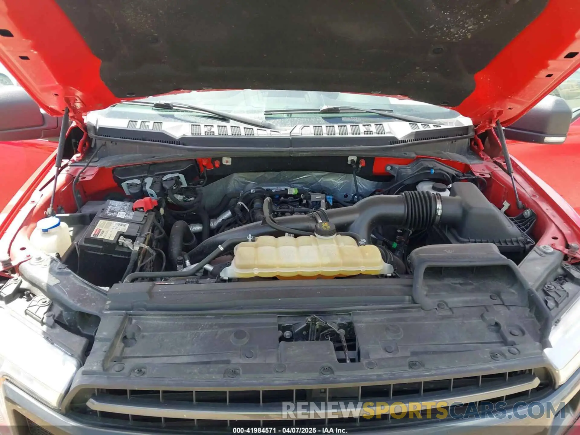 10 fotografías del automóvil dañado 1FTEW1EP0KFA98110 FORD F-150 2019