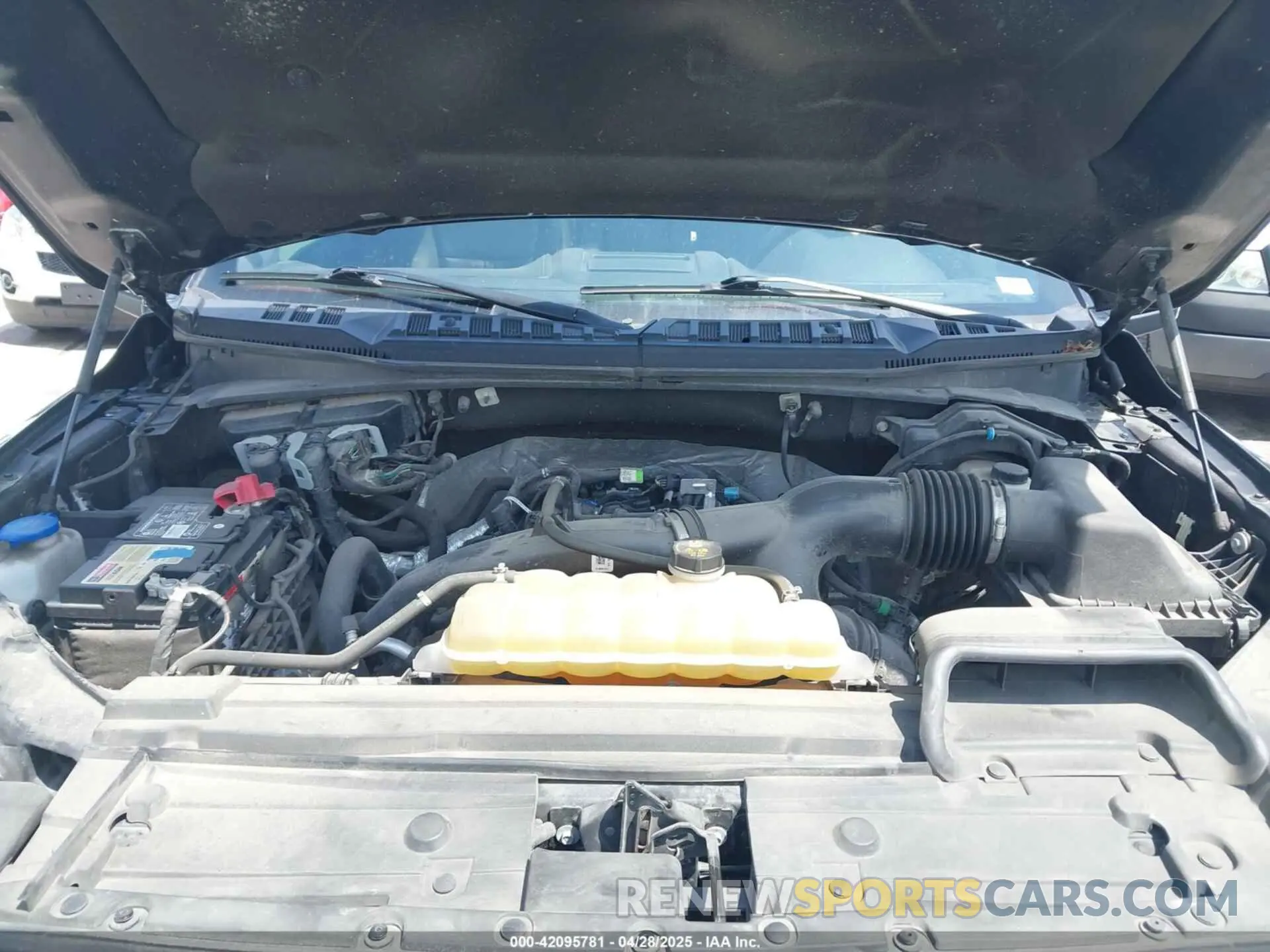 10 fotografías del automóvil dañado 1FTEW1EP0KFB40713 FORD F-150 2019