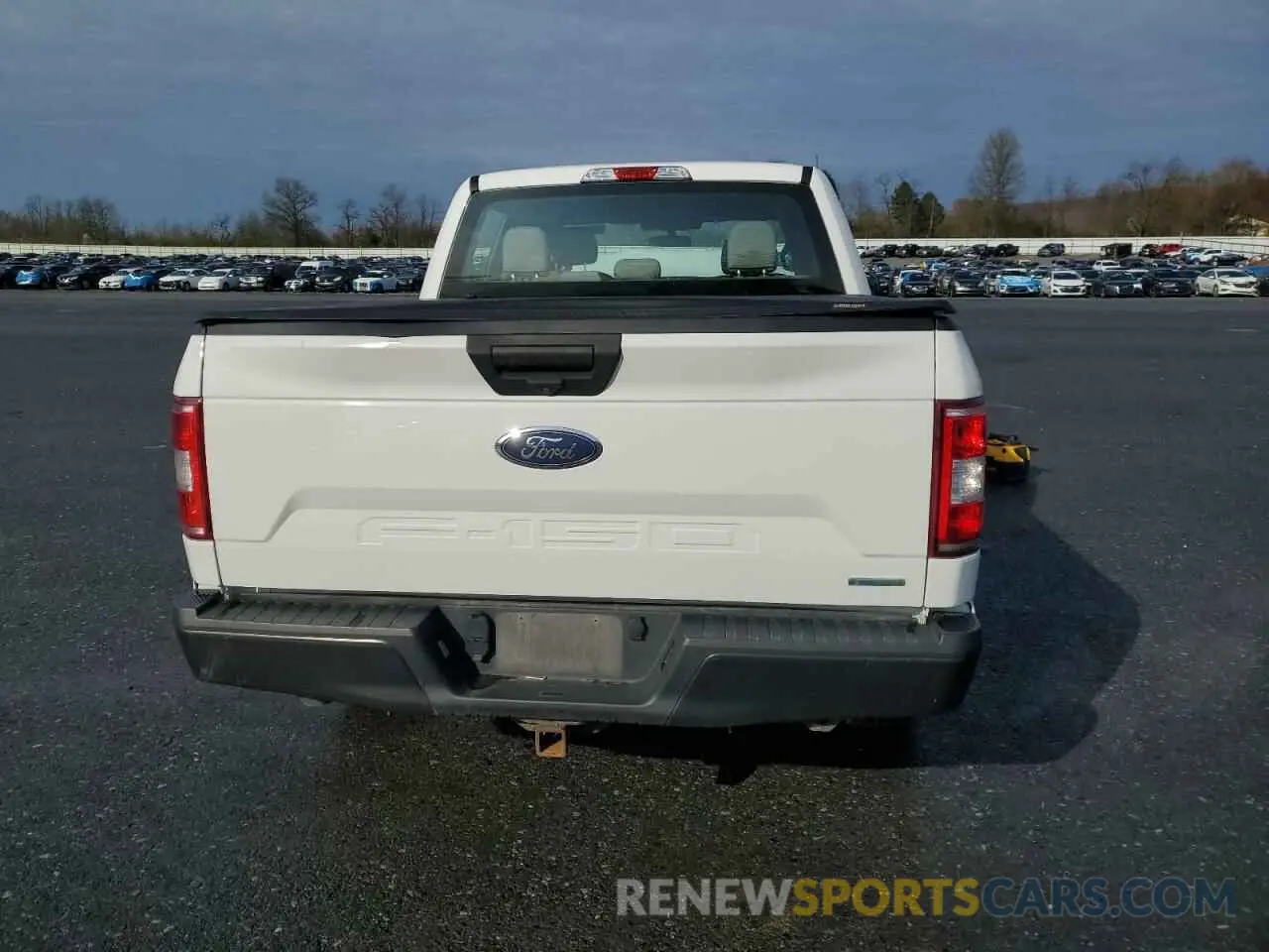 6 fotografías del automóvil dañado 1FTEW1EP1KFA67786 FORD F-150 2019