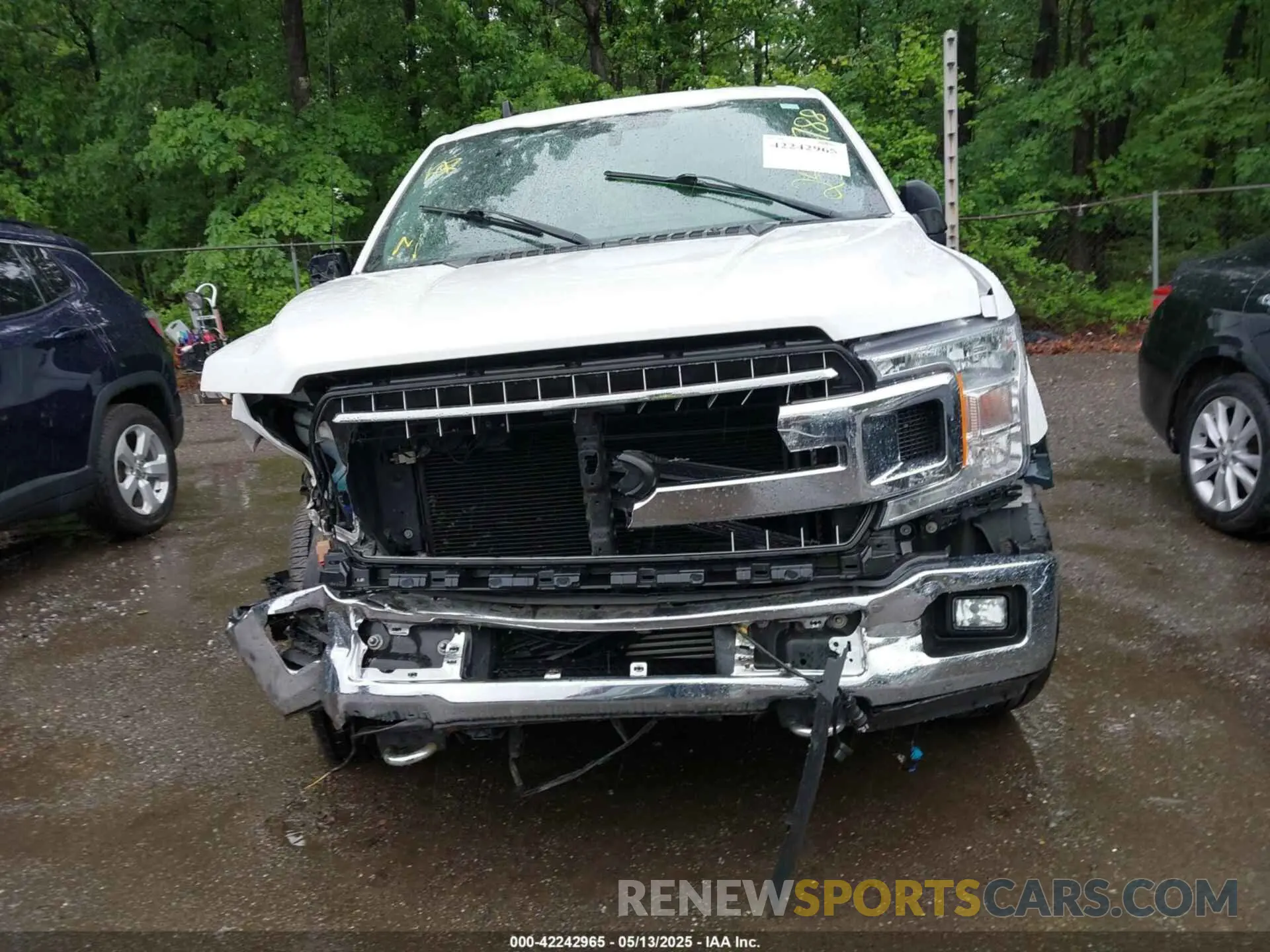 12 fotografías del automóvil dañado 1FTEW1EP1KFA98133 FORD F-150 2019