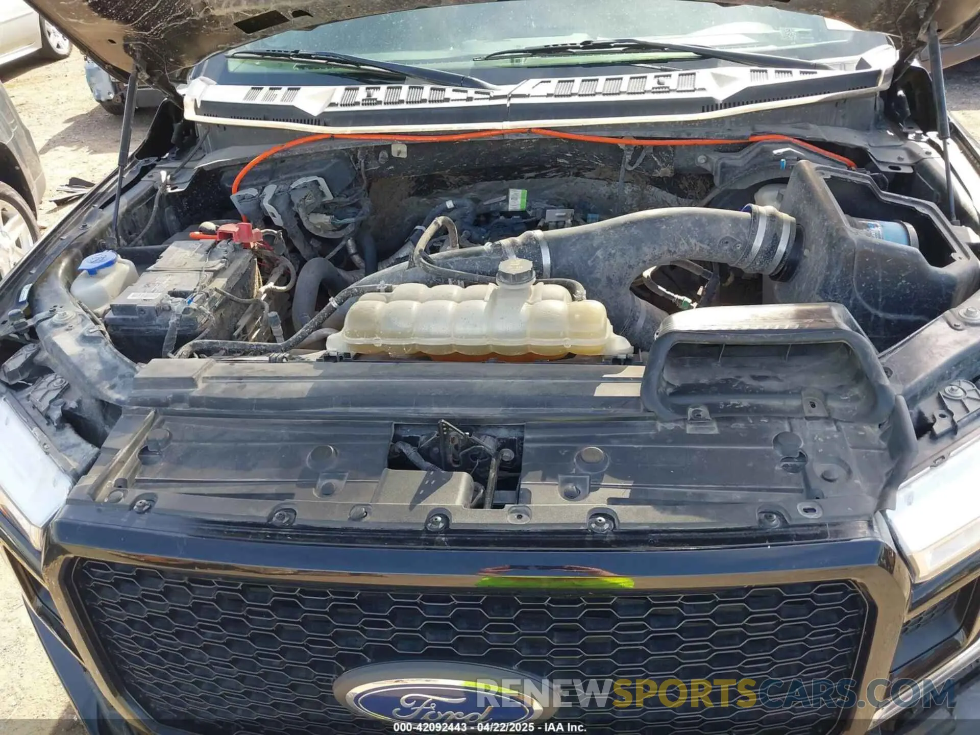 10 fotografías del automóvil dañado 1FTEW1EP2KFC91620 FORD F-150 2019