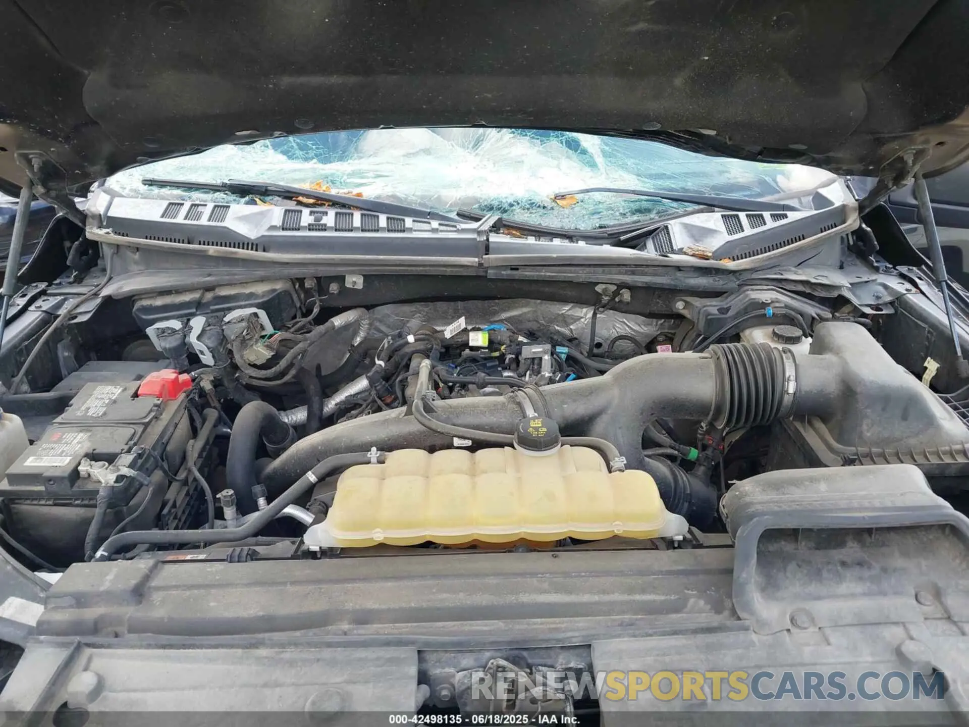 10 fotografías del automóvil dañado 1FTEW1EP2KKD53413 FORD F-150 2019