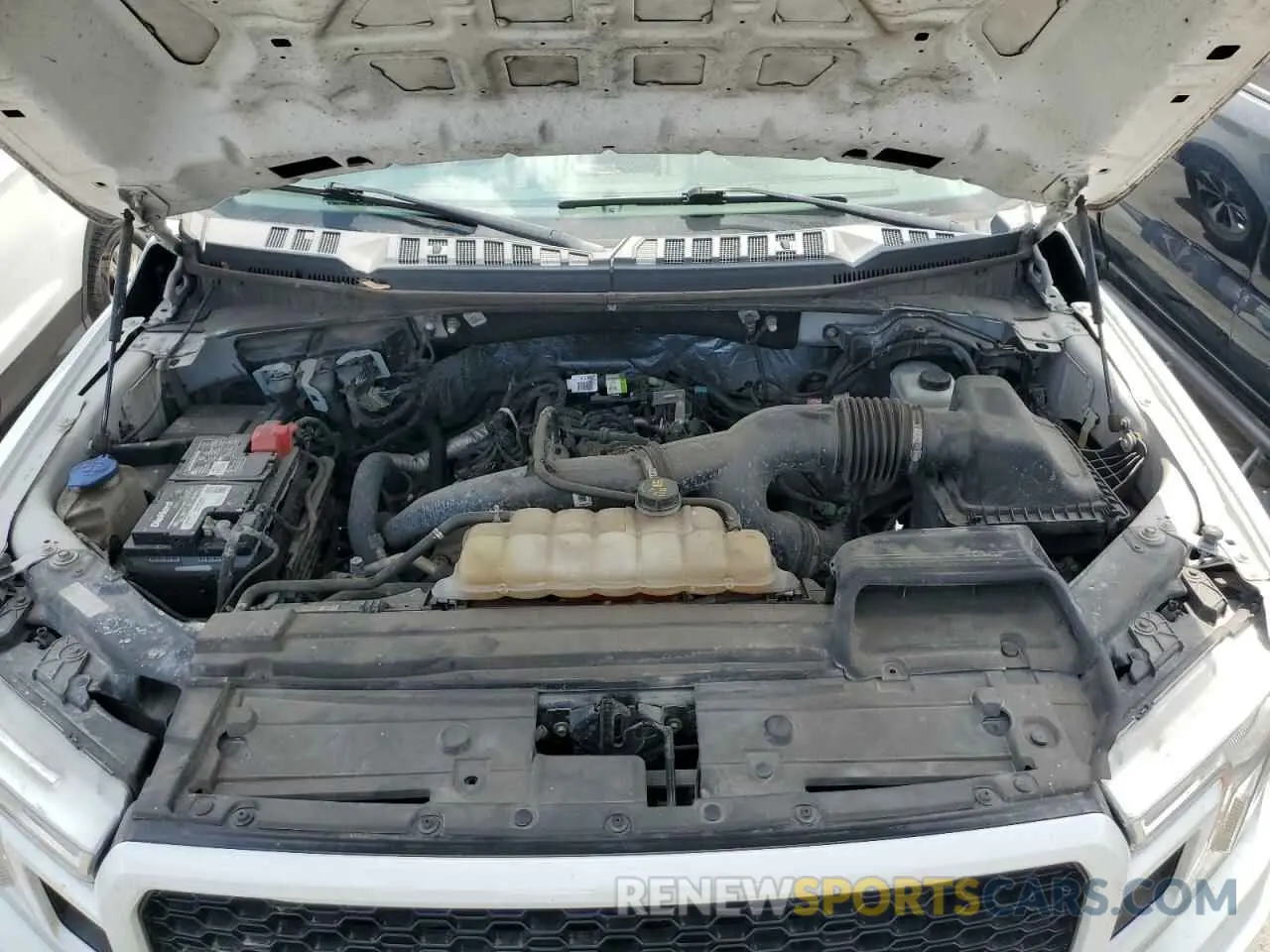 11 fotografías del automóvil dañado 1FTEW1EP3KFC78701 FORD F-150 2019