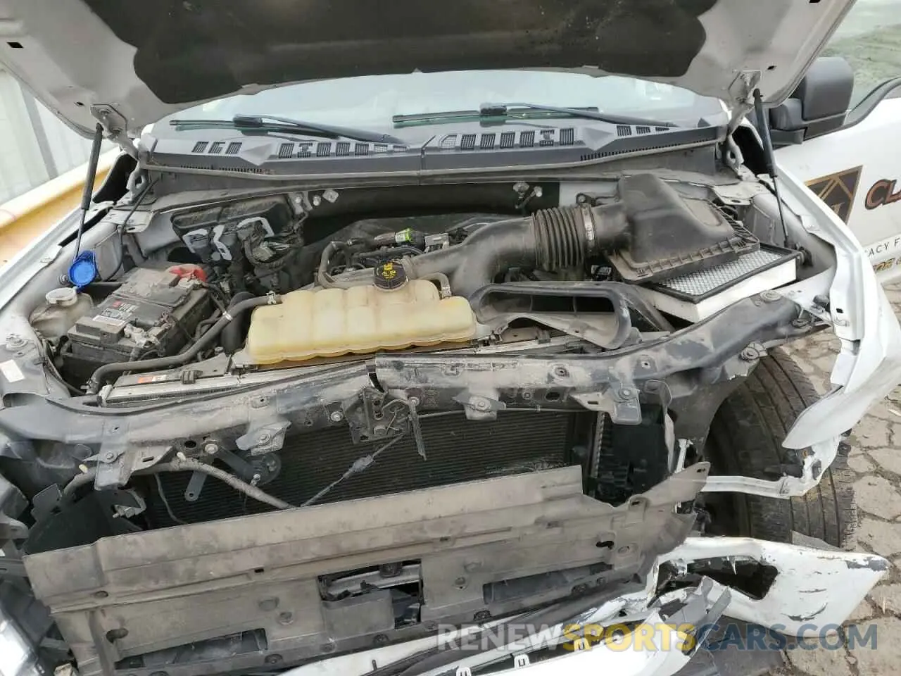 12 fotografías del automóvil dañado 1FTEW1EP3KFD32658 FORD F-150 2019