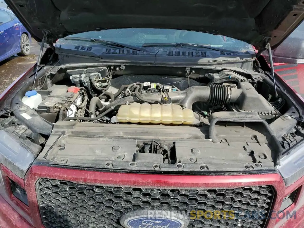 11 fotografías del automóvil dañado 1FTEW1EP4KFA78930 FORD F-150 2019