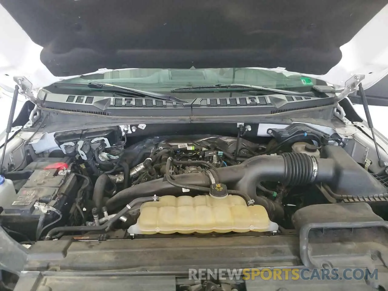 11 fotografías del automóvil dañado 1FTEW1EP4KFD28716 FORD F-150 2019