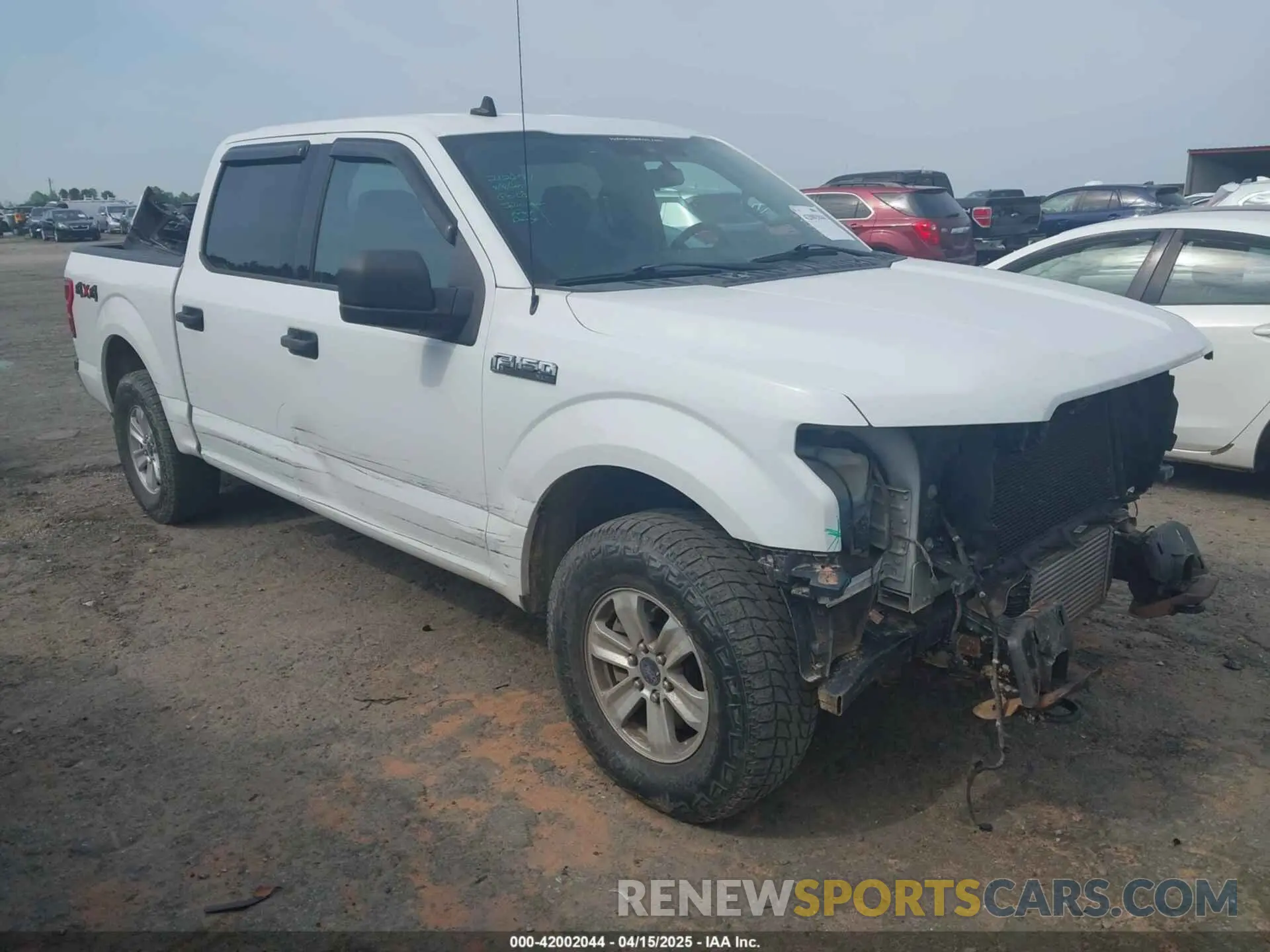 1 fotografías del automóvil dañado 1FTEW1EP5KFA76149 FORD F-150 2019