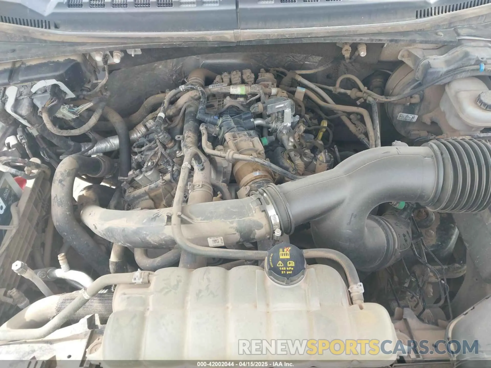 10 fotografías del automóvil dañado 1FTEW1EP5KFA76149 FORD F-150 2019