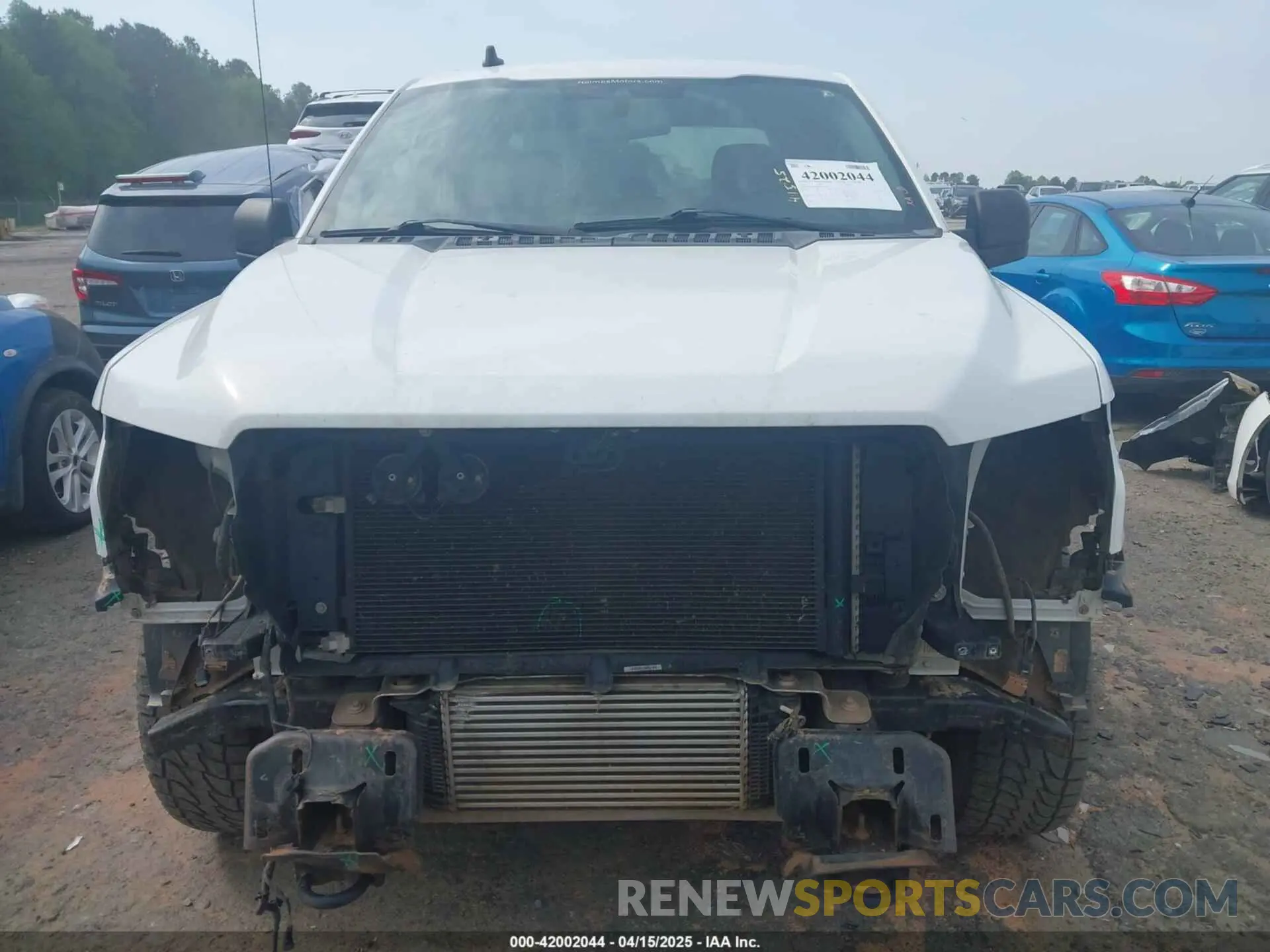 13 fotografías del automóvil dañado 1FTEW1EP5KFA76149 FORD F-150 2019