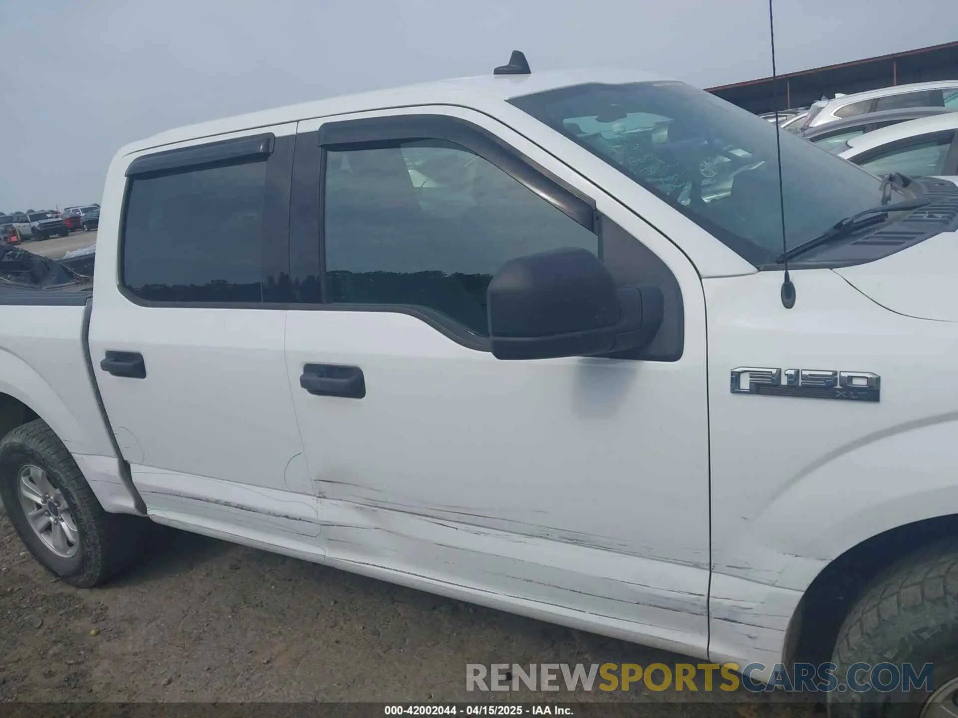 14 fotografías del automóvil dañado 1FTEW1EP5KFA76149 FORD F-150 2019