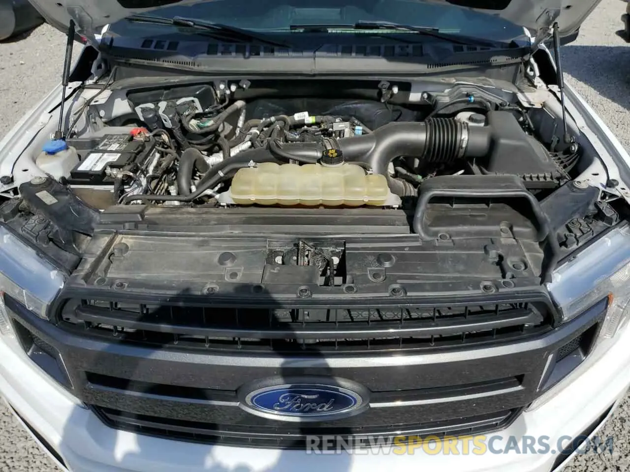 11 fotografías del automóvil dañado 1FTEW1EP5KFA94506 FORD F-150 2019