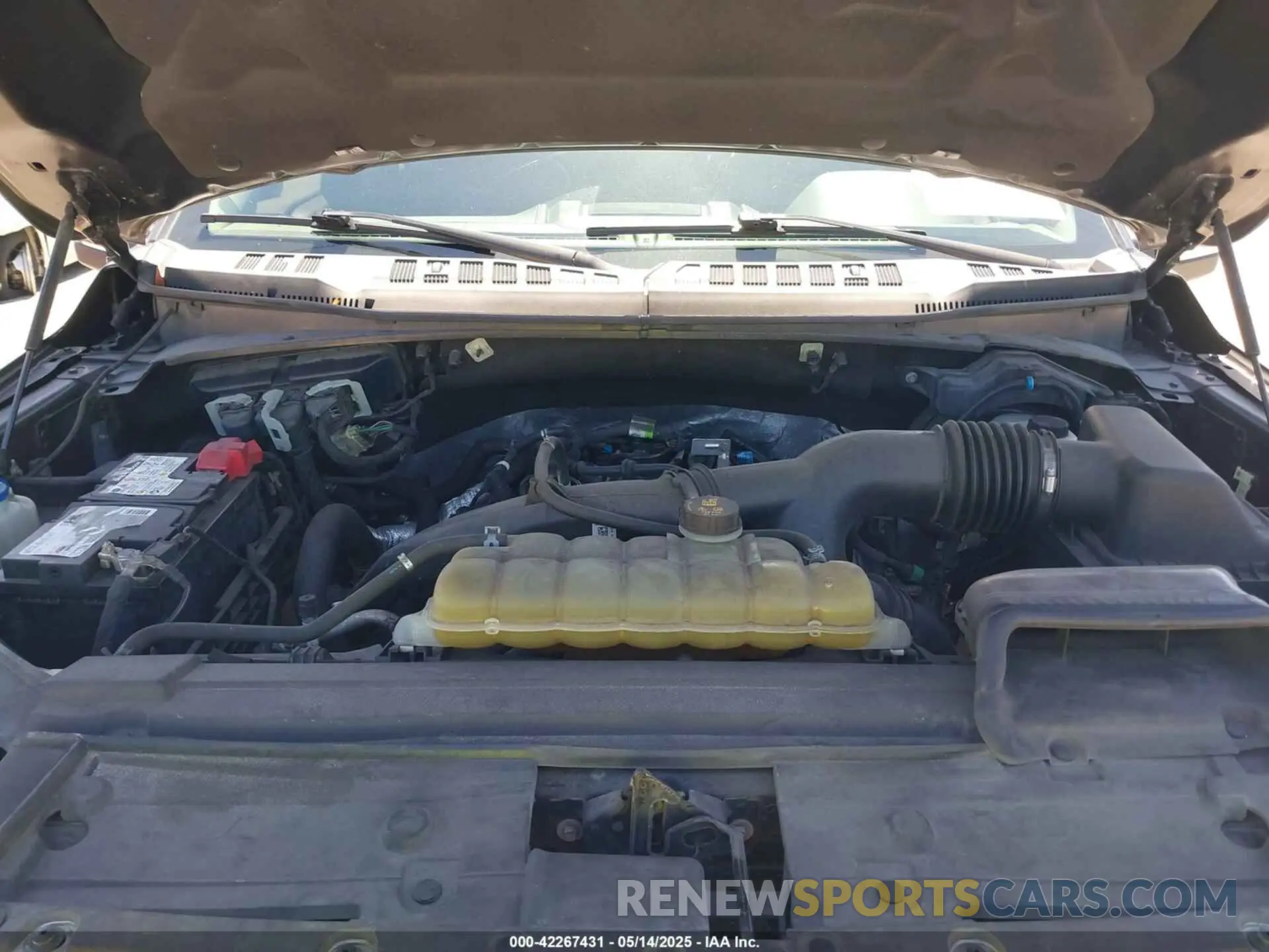 10 fotografías del automóvil dañado 1FTEW1EP5KFB43316 FORD F-150 2019