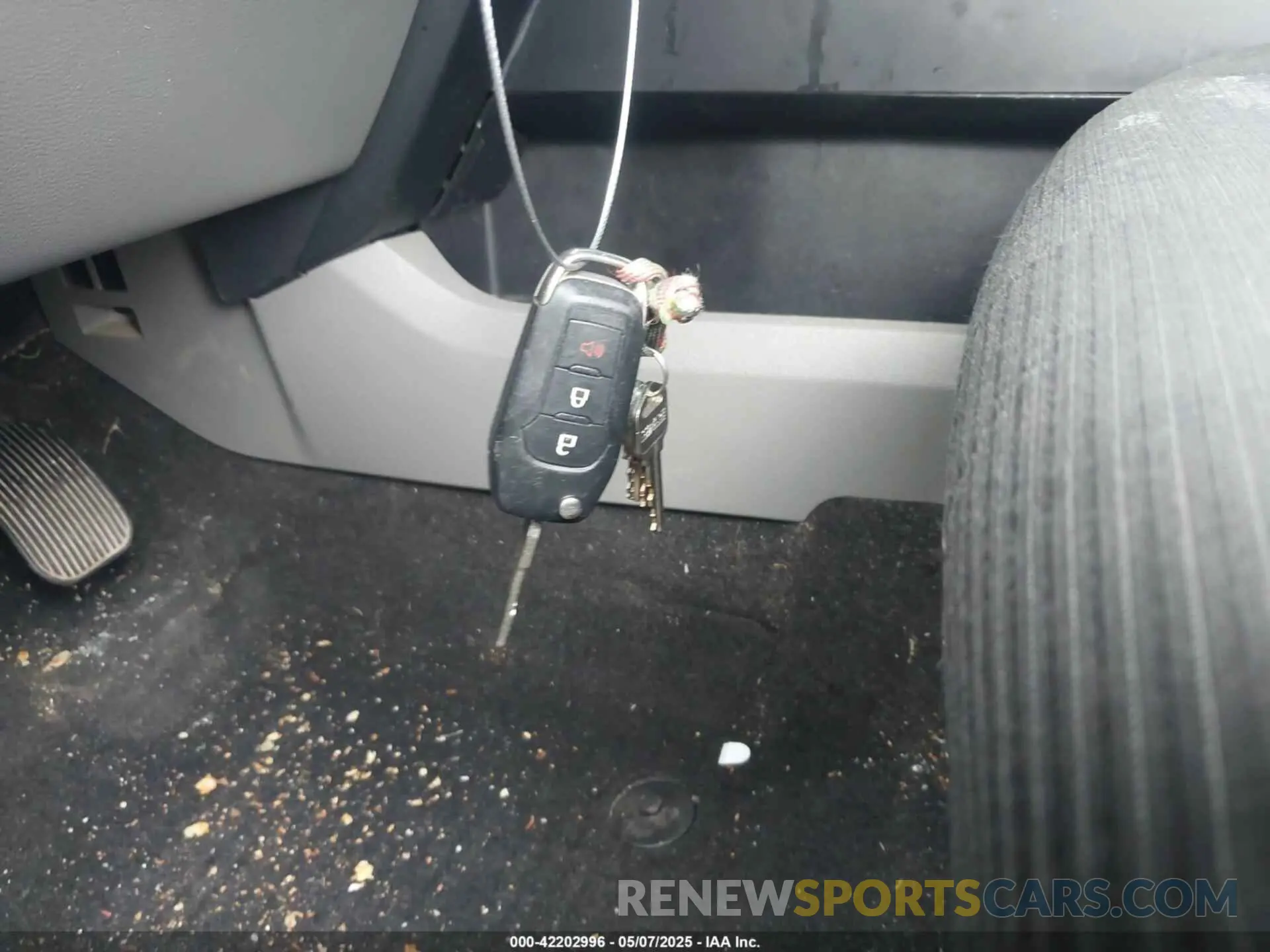 11 fotografías del automóvil dañado 1FTEW1EP5KKD10667 FORD F-150 2019