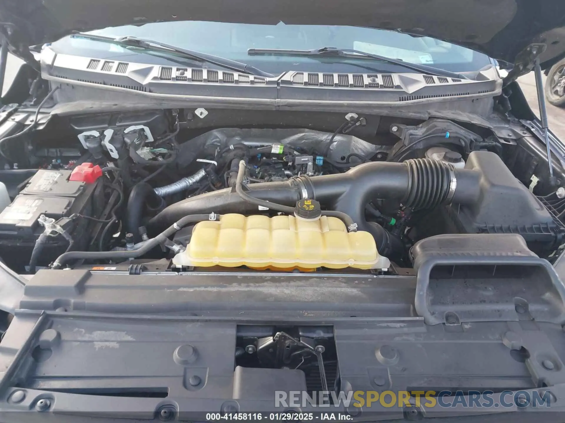 10 fotografías del automóvil dañado 1FTEW1EP5KKE22417 FORD F-150 2019