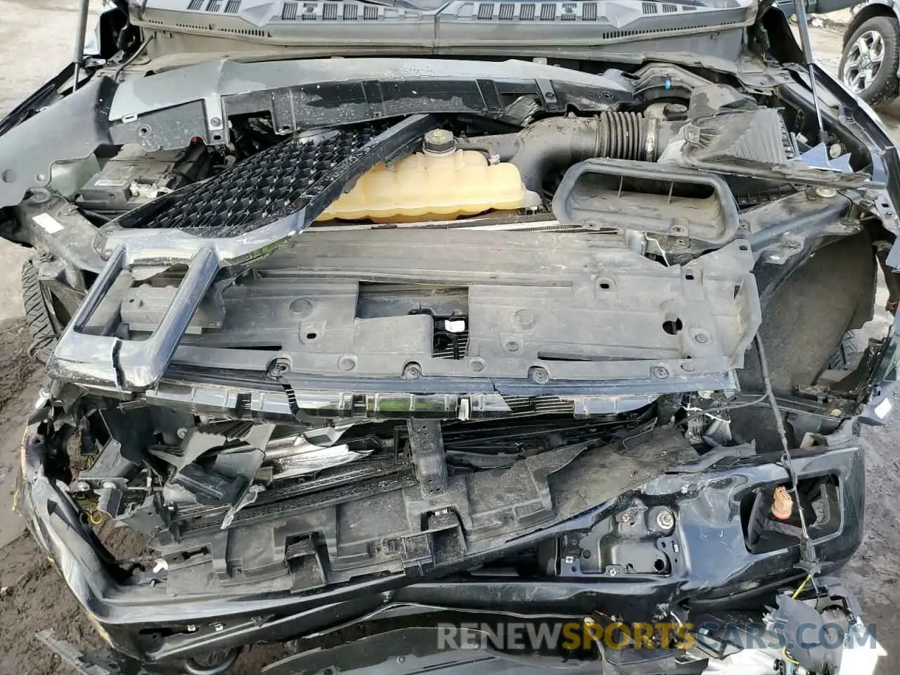 11 fotografías del automóvil dañado 1FTEW1EP7KFA26692 FORD F-150 2019