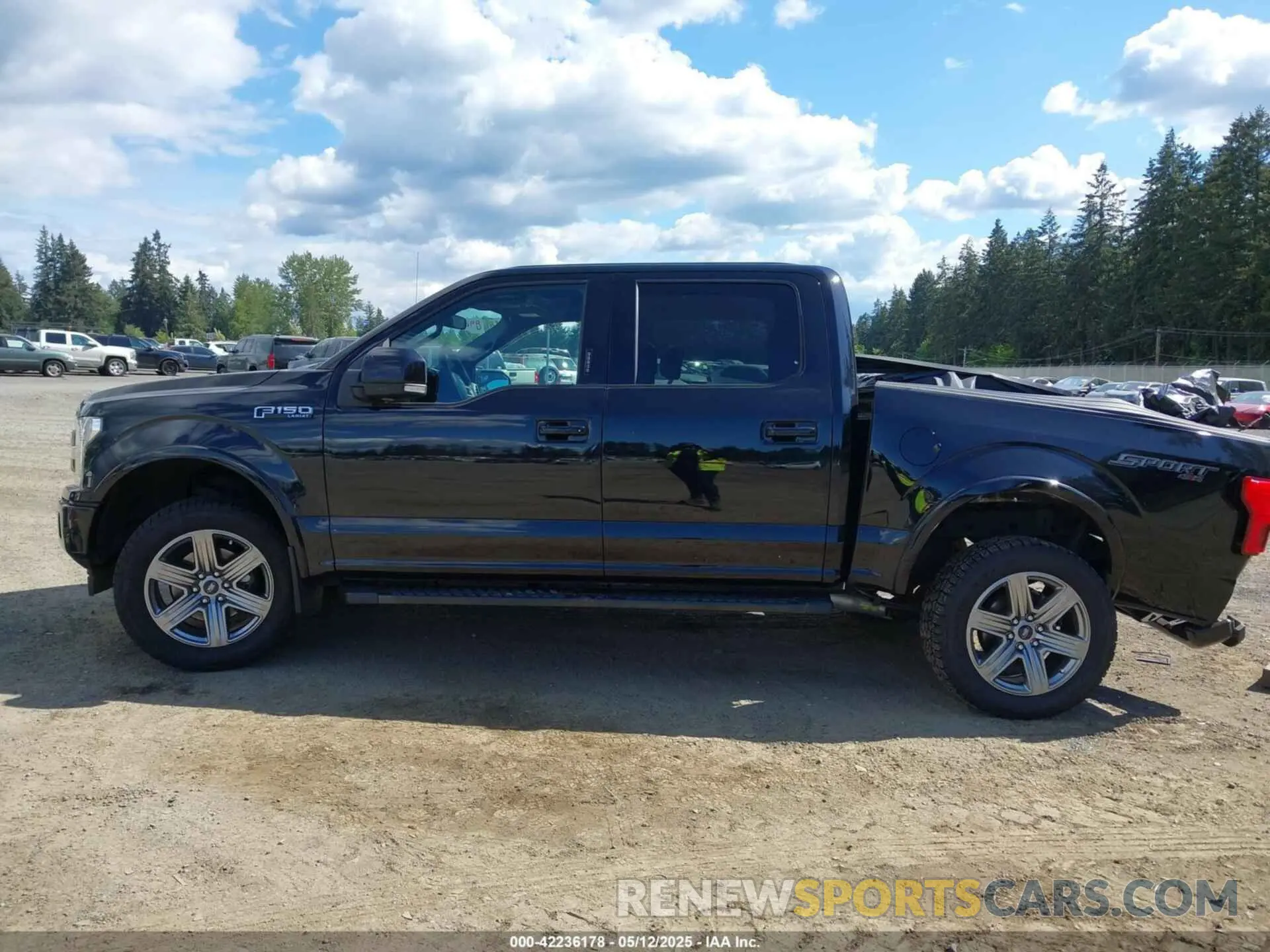 14 fotografías del automóvil dañado 1FTEW1EP7KFA70661 FORD F-150 2019