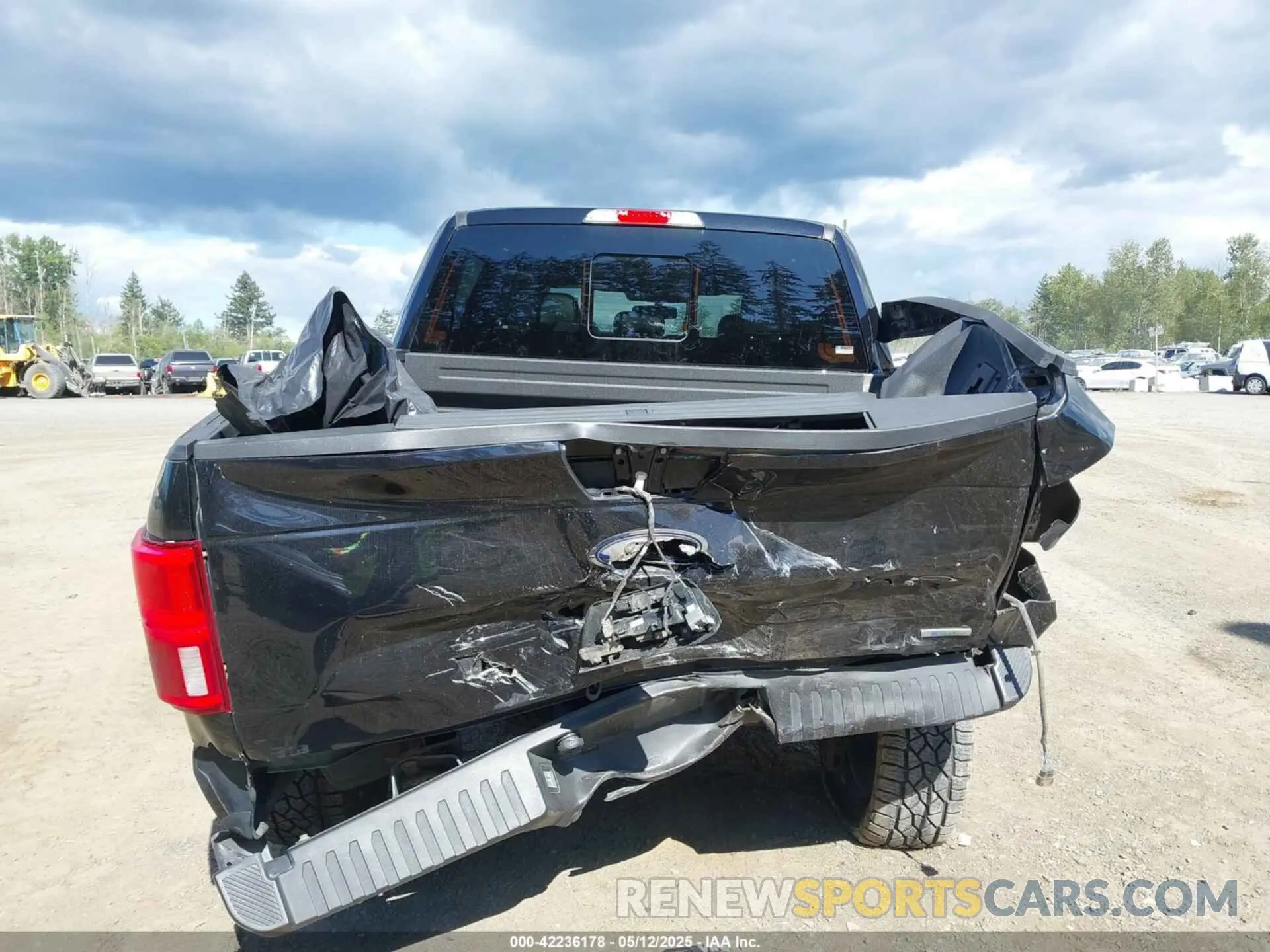 16 fotografías del automóvil dañado 1FTEW1EP7KFA70661 FORD F-150 2019