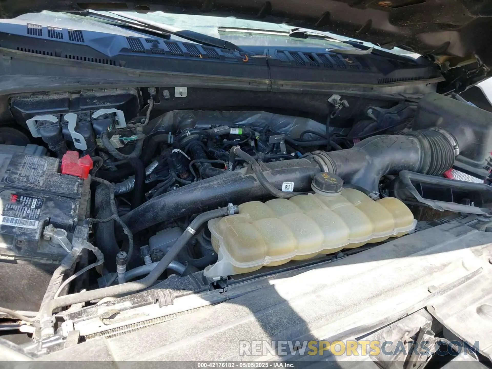 10 fotografías del automóvil dañado 1FTEW1EP7KFC28853 FORD F-150 2019