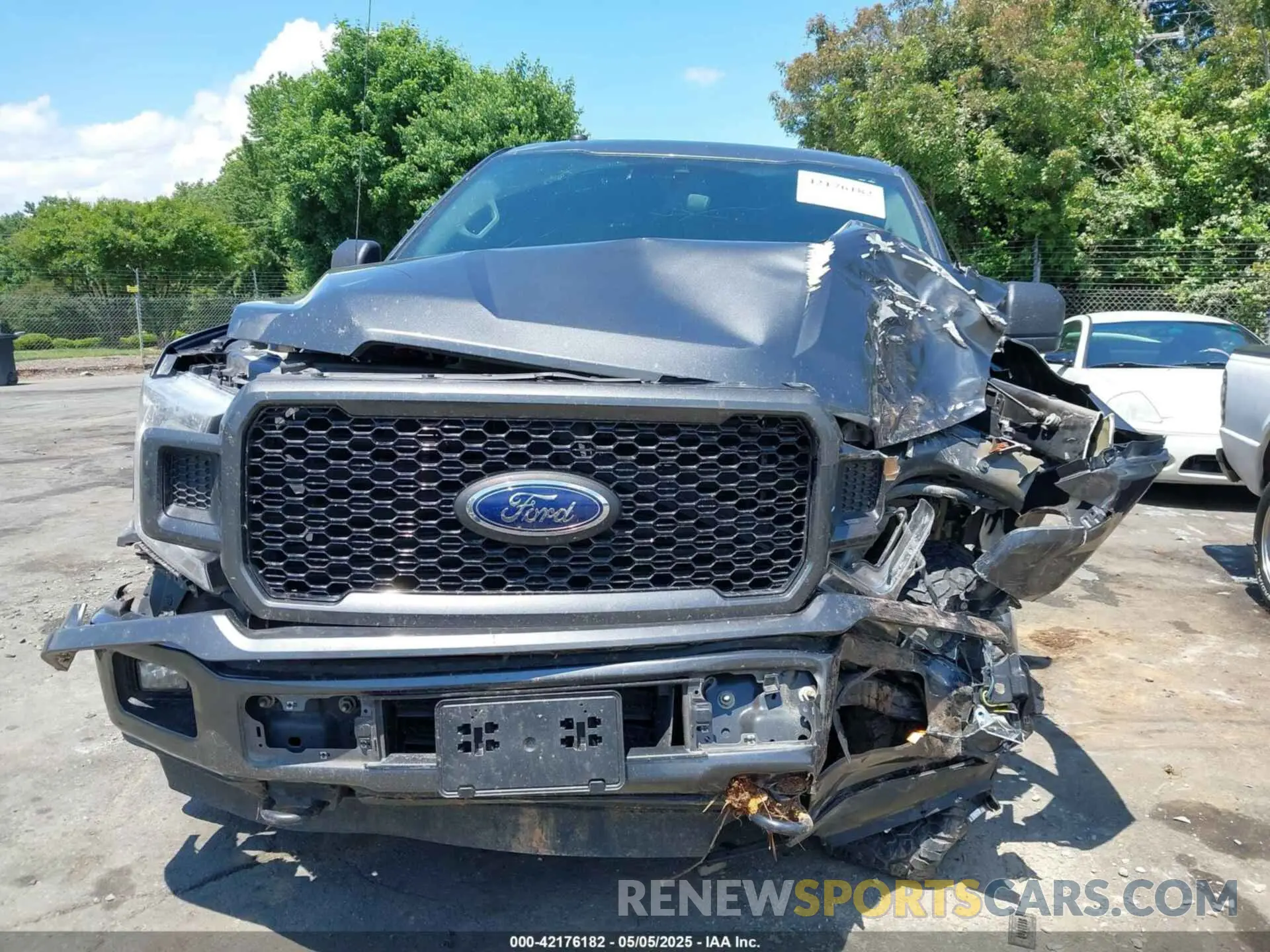 12 fotografías del automóvil dañado 1FTEW1EP7KFC28853 FORD F-150 2019