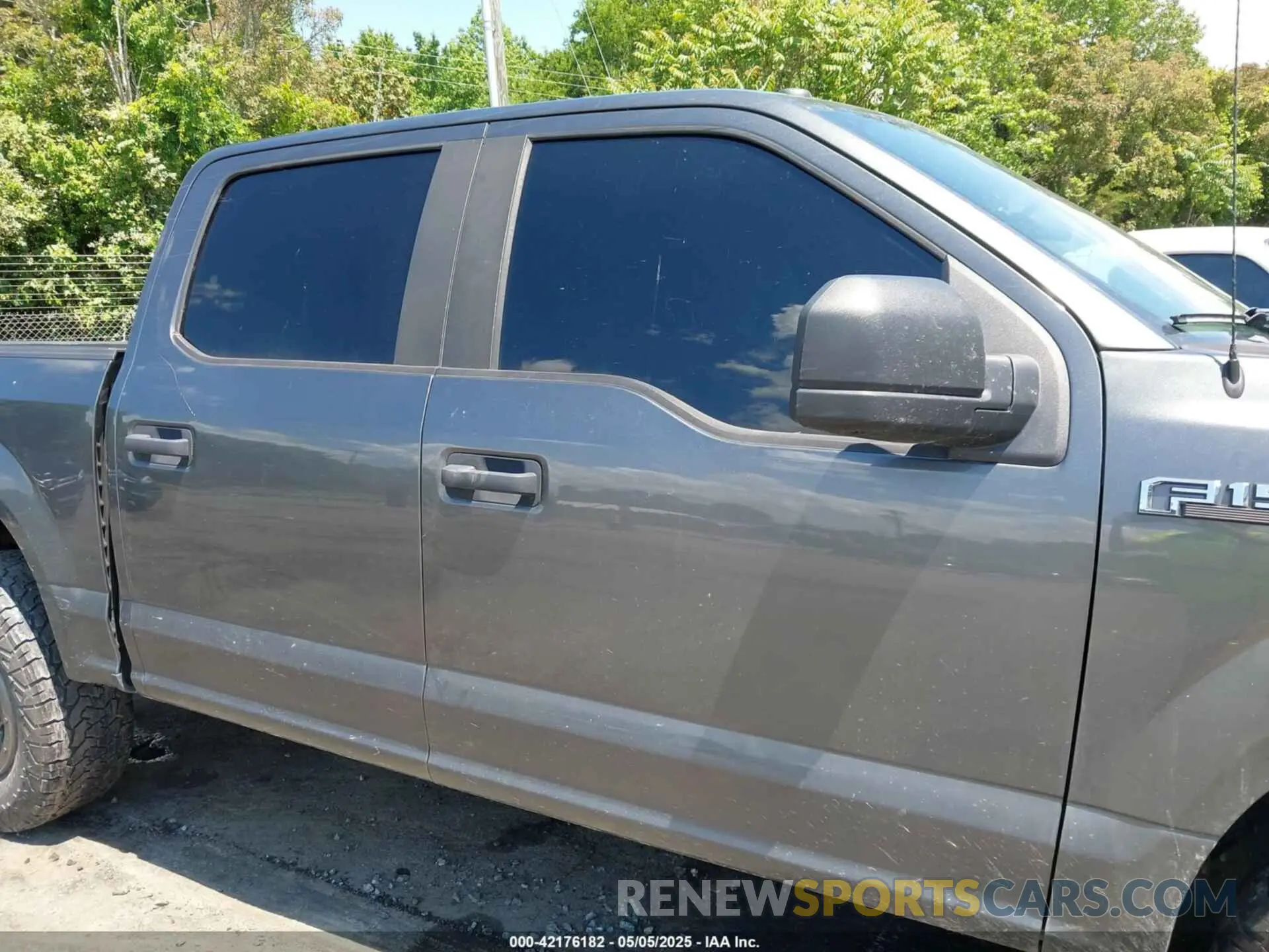 13 fotografías del automóvil dañado 1FTEW1EP7KFC28853 FORD F-150 2019