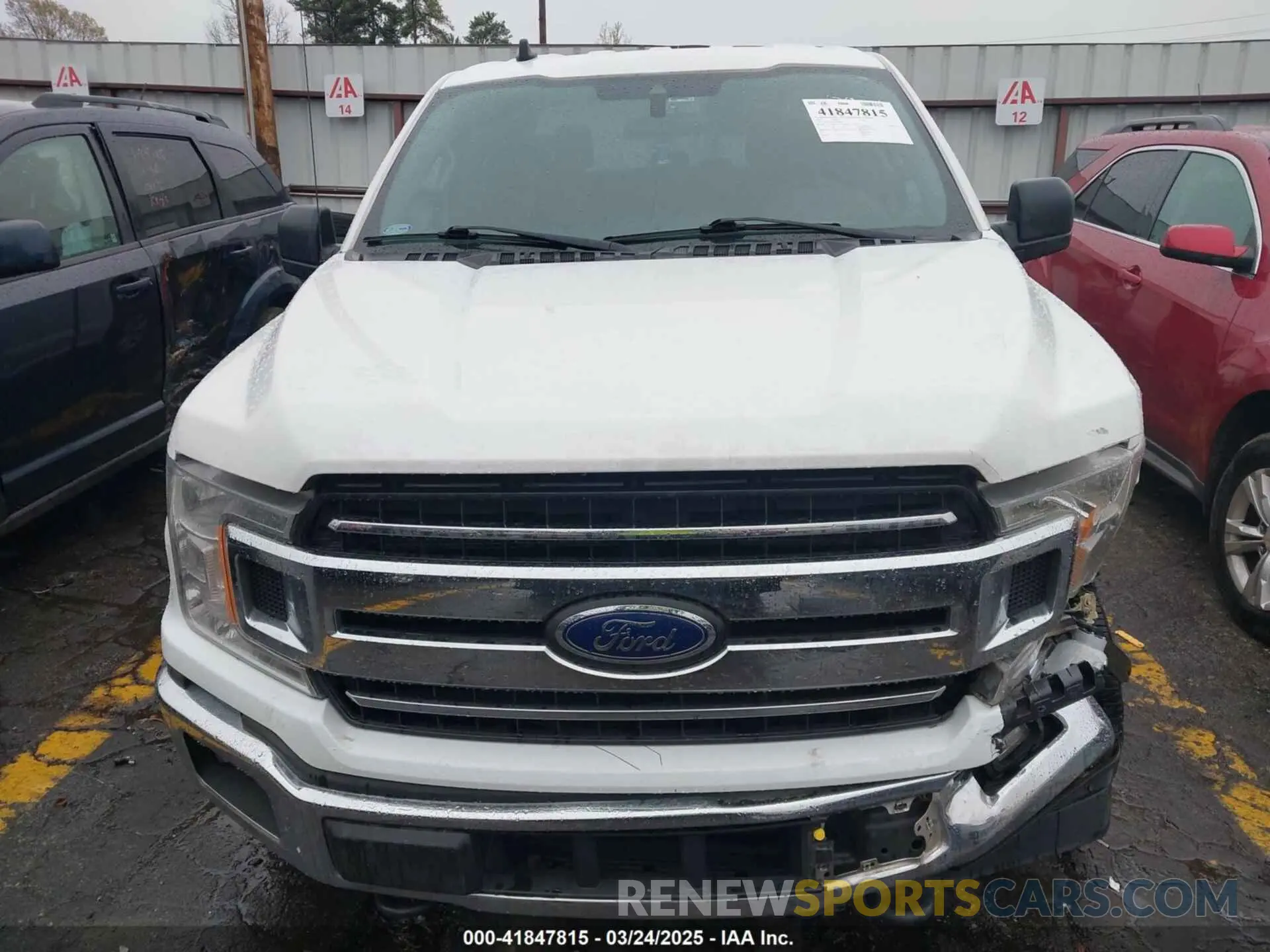 12 fotografías del automóvil dañado 1FTEW1EP7KKC70866 FORD F-150 2019