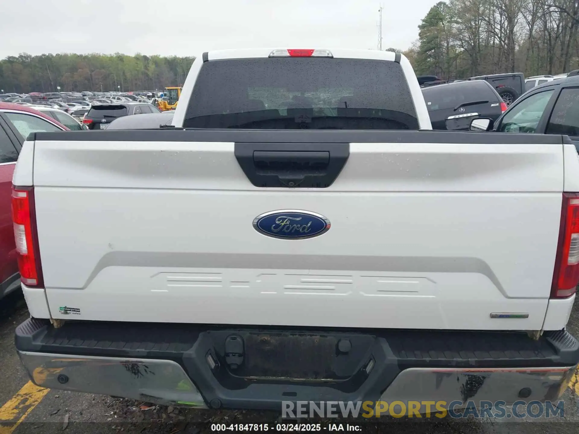 16 fotografías del automóvil dañado 1FTEW1EP7KKC70866 FORD F-150 2019