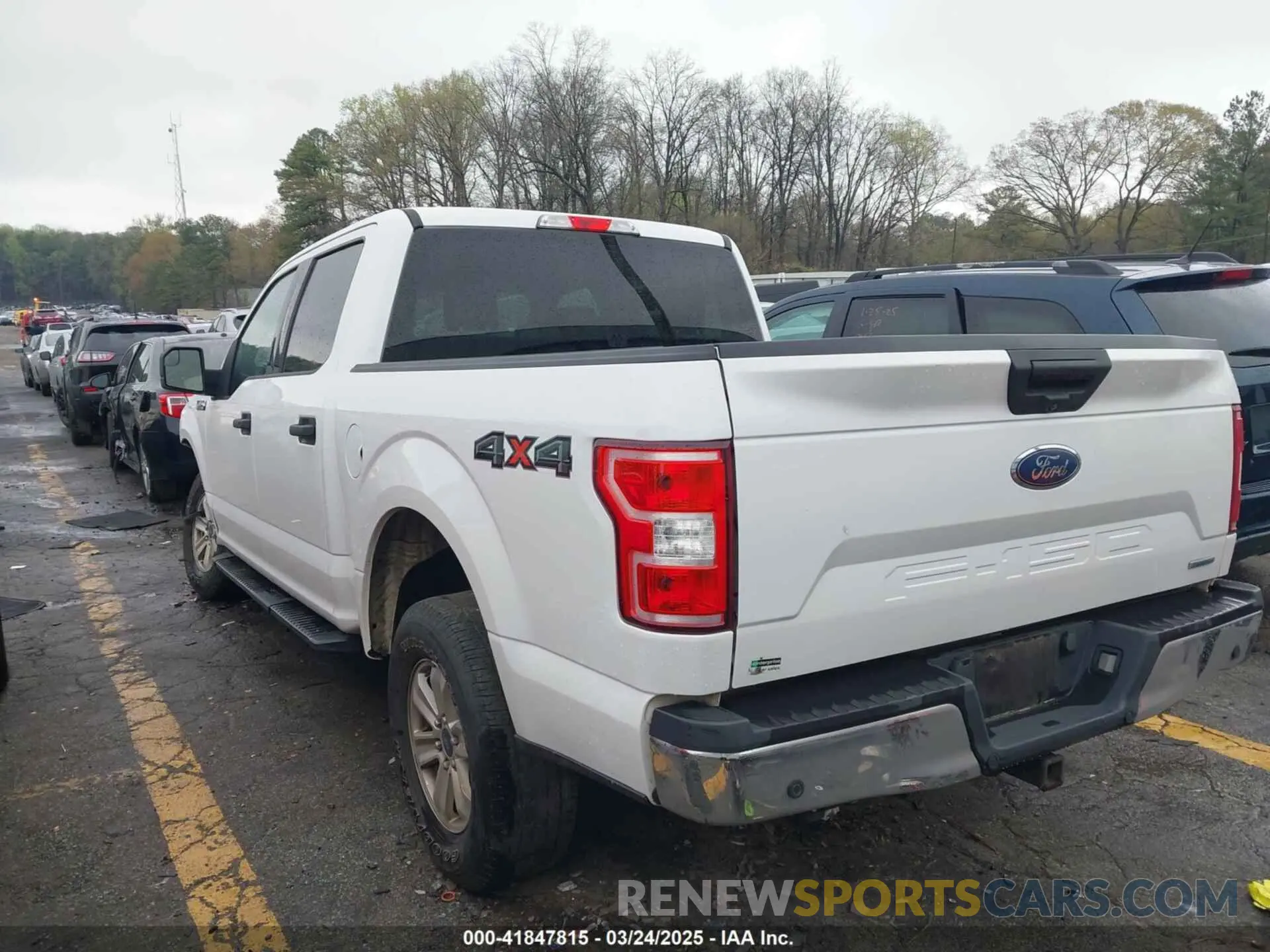 3 fotografías del automóvil dañado 1FTEW1EP7KKC70866 FORD F-150 2019