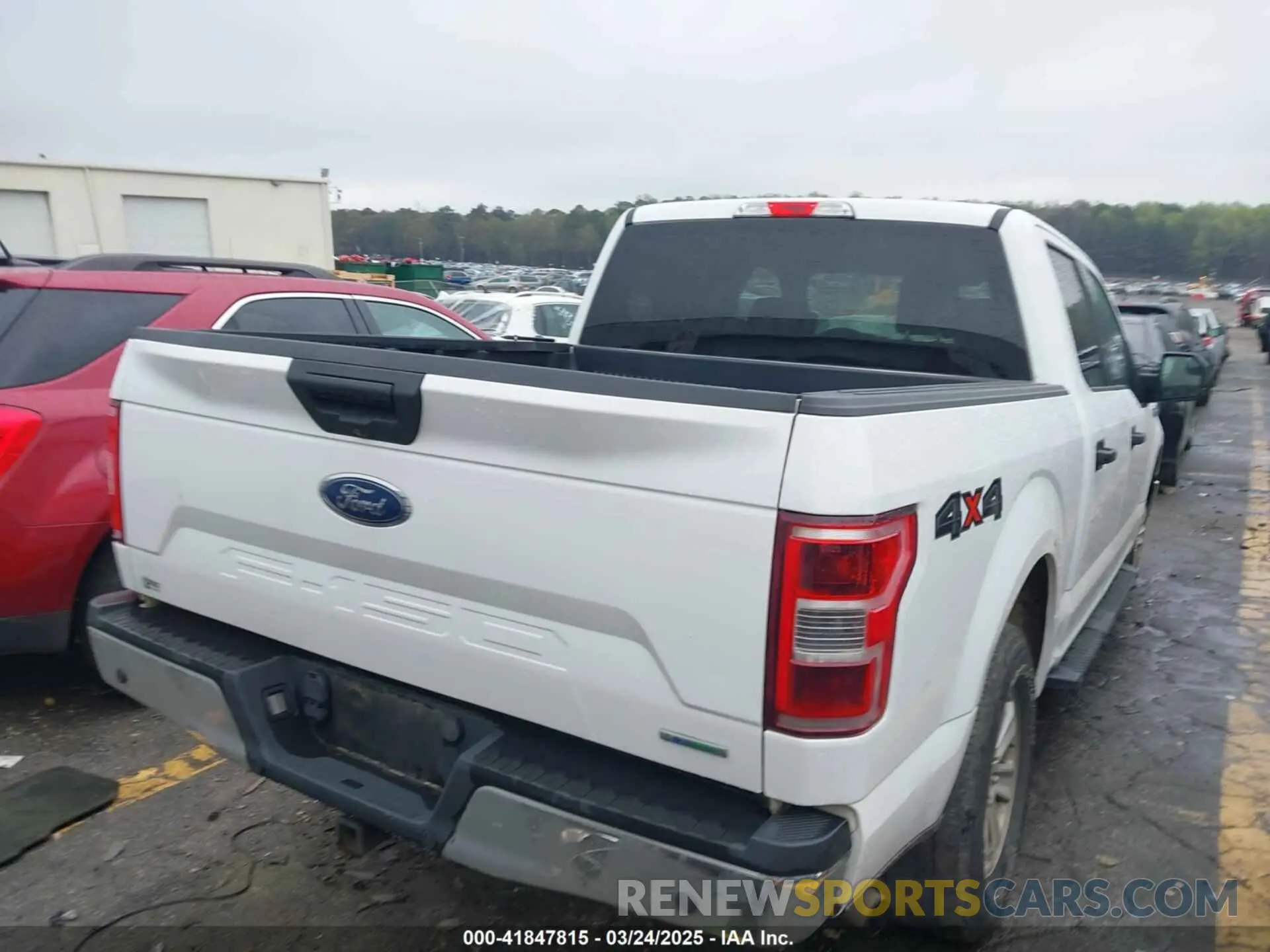 4 fotografías del automóvil dañado 1FTEW1EP7KKC70866 FORD F-150 2019